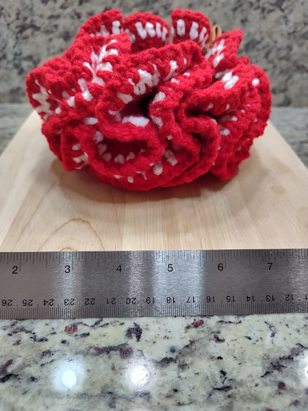 "eClair Obscura: Explanation 23"