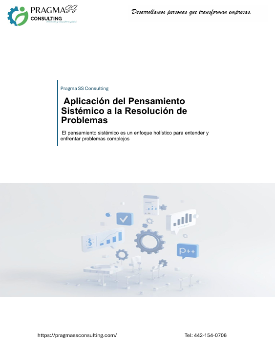 Aplicación del Pensamiento  Sistémico a la Resolución de  Problemas