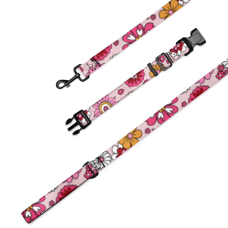 Ditzy Floral Leash & Collar Combo