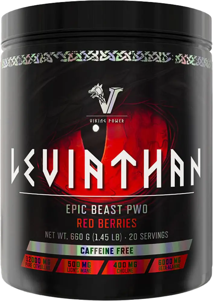 Viking Power - Leviathan Hardcore PWO - 660g