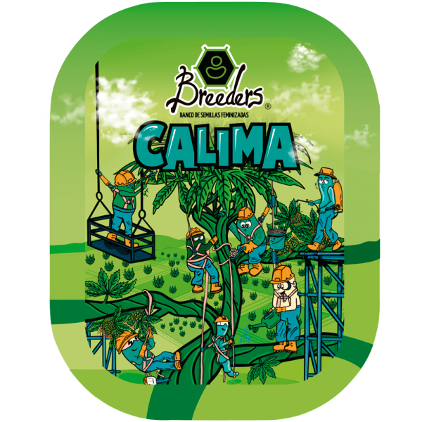 Calima