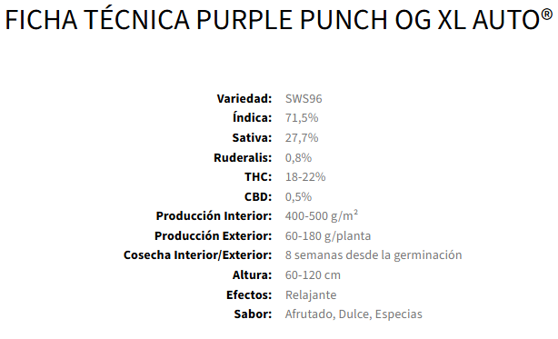 Purple Punch OG XL Auto®  