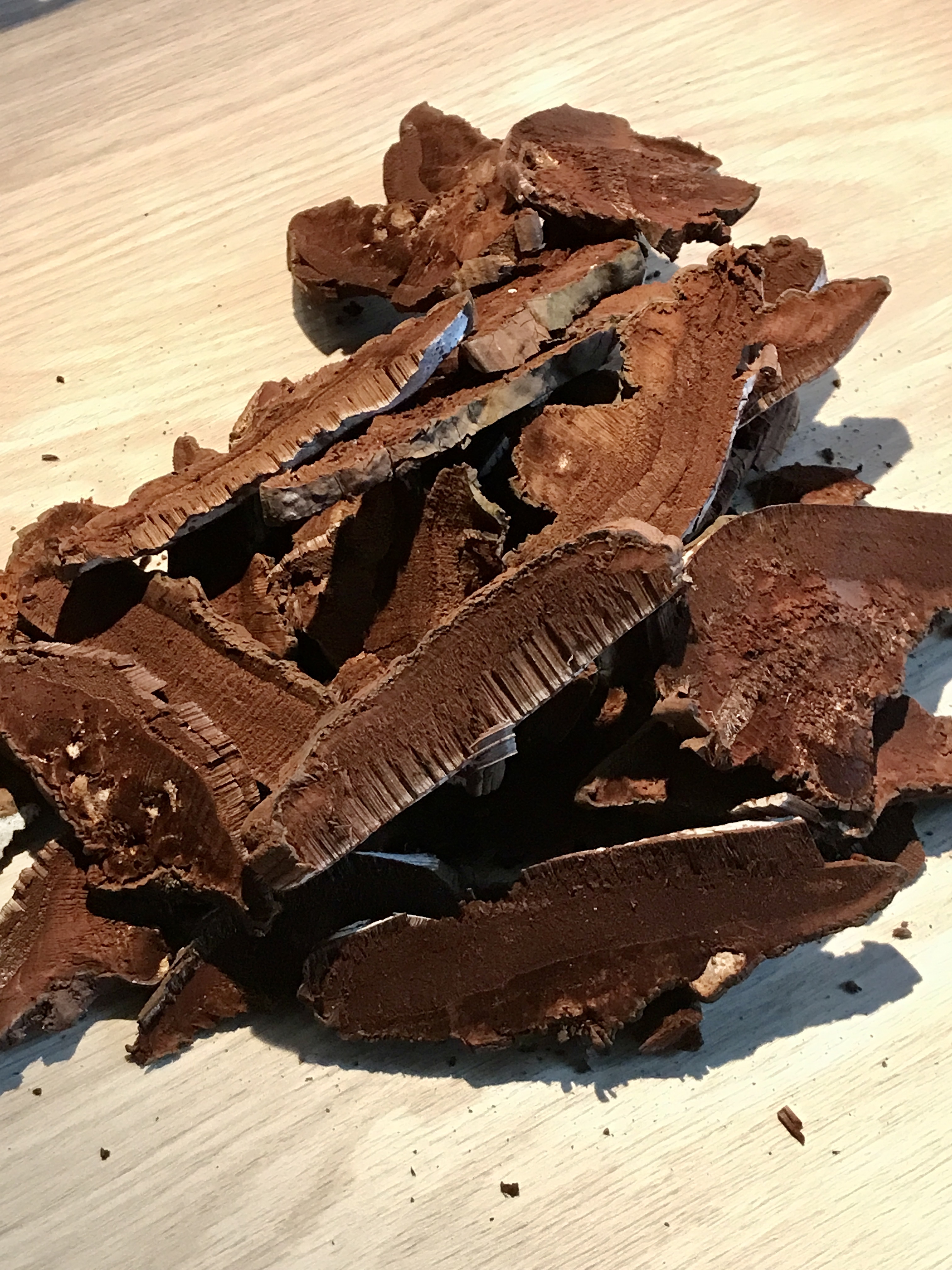 DRIED REISHI MUSHROOMS | GANODERMA APLANATUM 