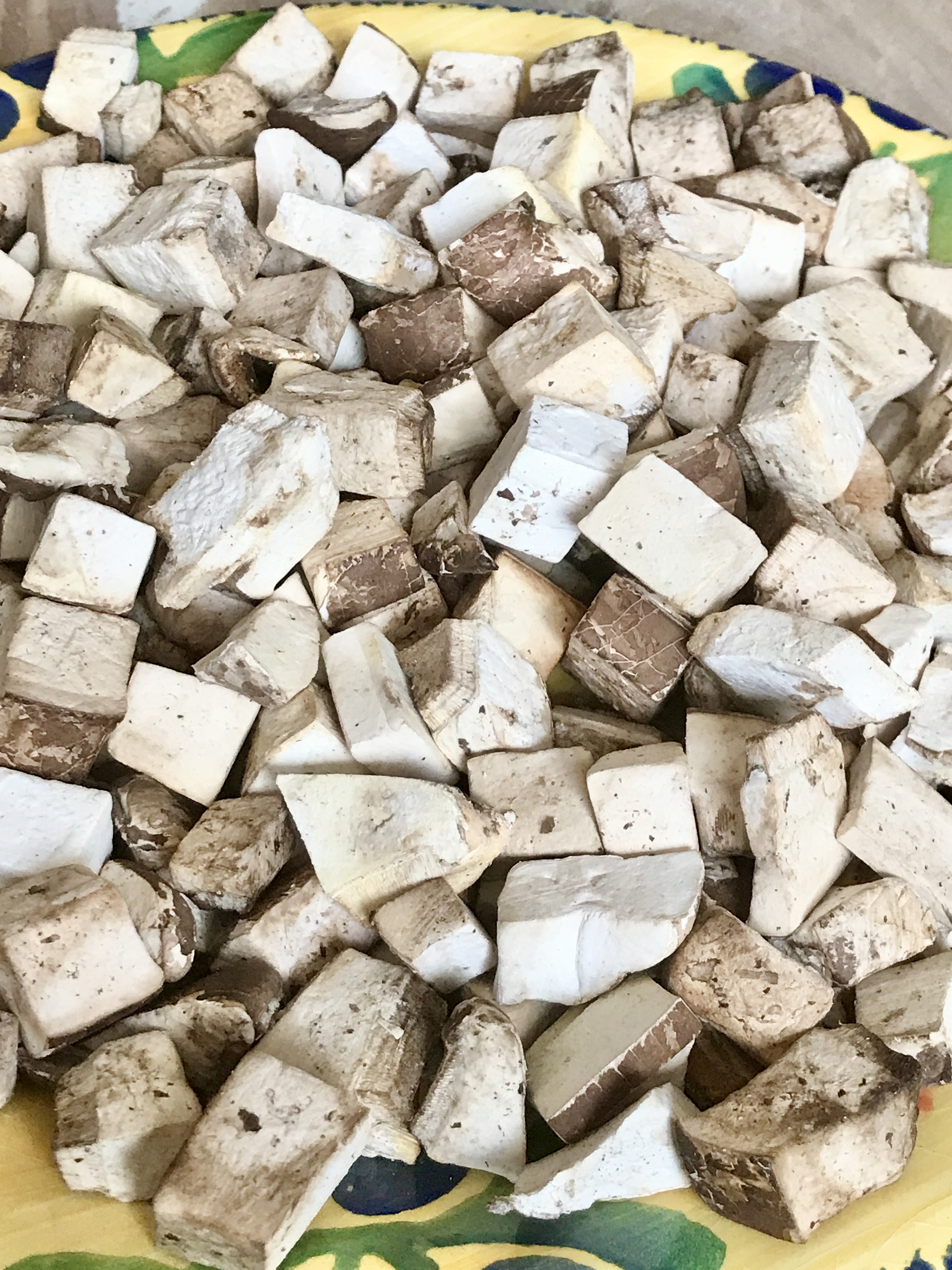 WHITE CHAGA CHUNKS – BIRCH POLYPORE (PIPTOPORUS BETULINUS)