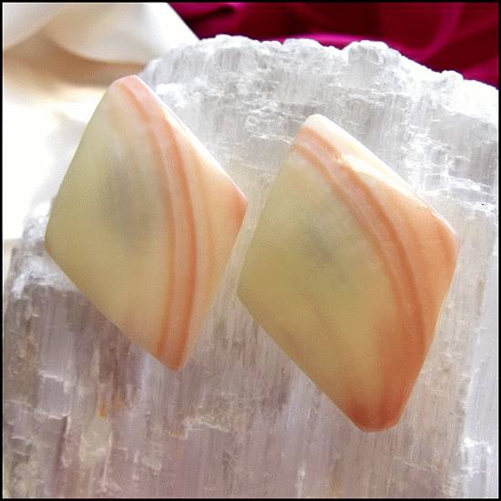 Vintage Sea Shell Earrings Rare Carved Pink Tellin Clam Clips