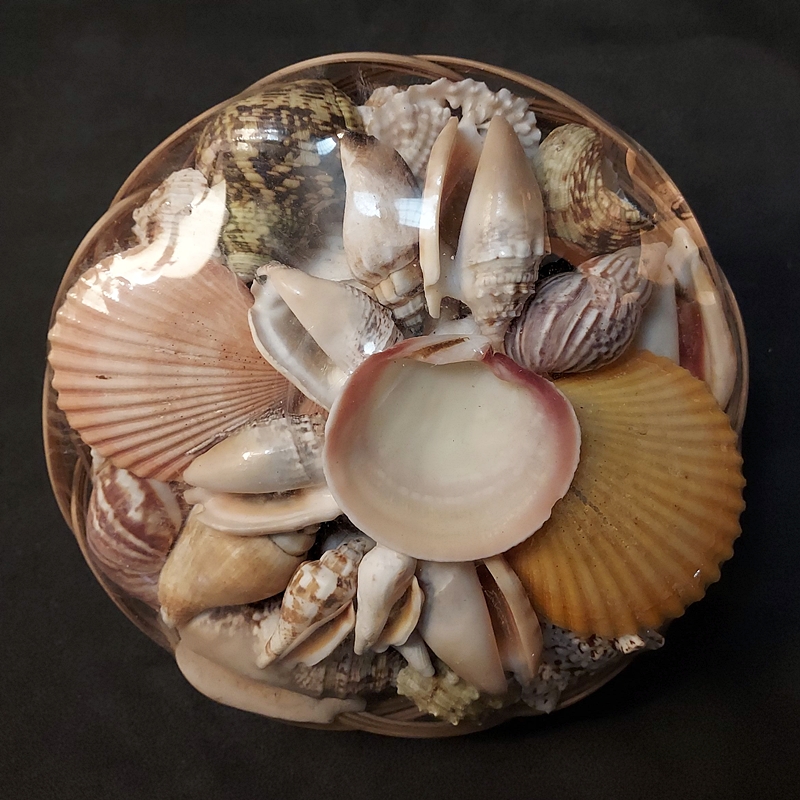 1960s Vintage Seashell Basket of Florida Shells New w Tags