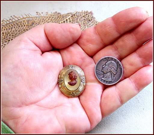 Early 1900s Antique Cameo Pin Tortoise w Camphor Glass 