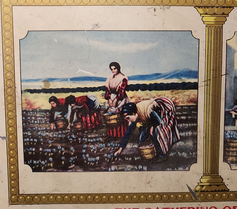 1950s Large Spanish Saffron Vintage Tin Canister