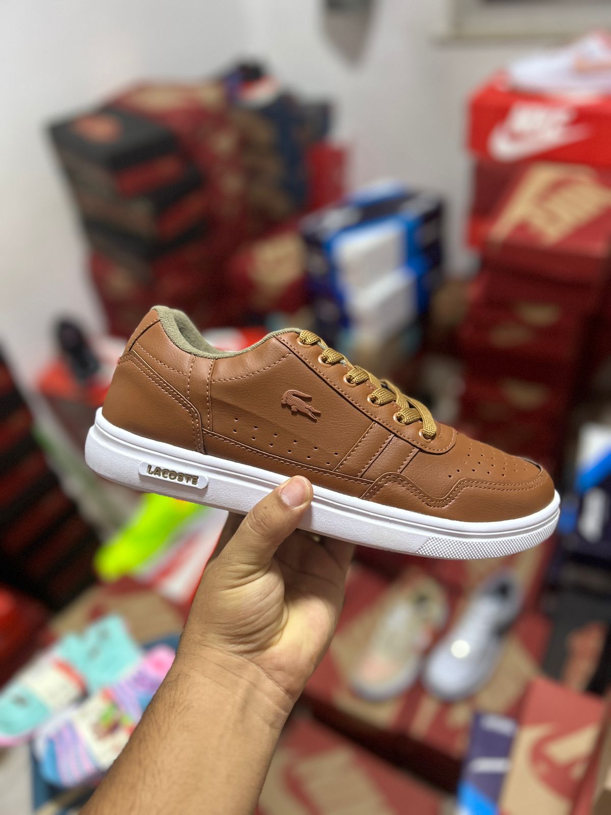 Tênis Lacoste Masculino