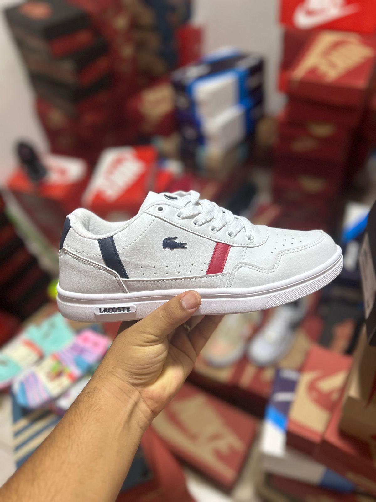 Tênis Lacoste Masculino