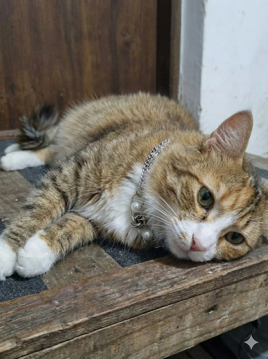 Collar "Silver Storm" - Colección: Divorcio de la Realeza