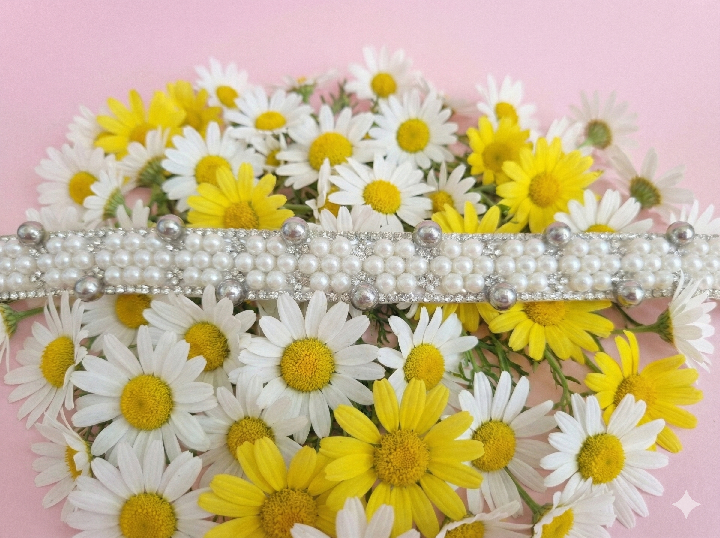 ​"Gargantilla 'Primavera Chic': Lujo Floral para Mascotas Exóticas"