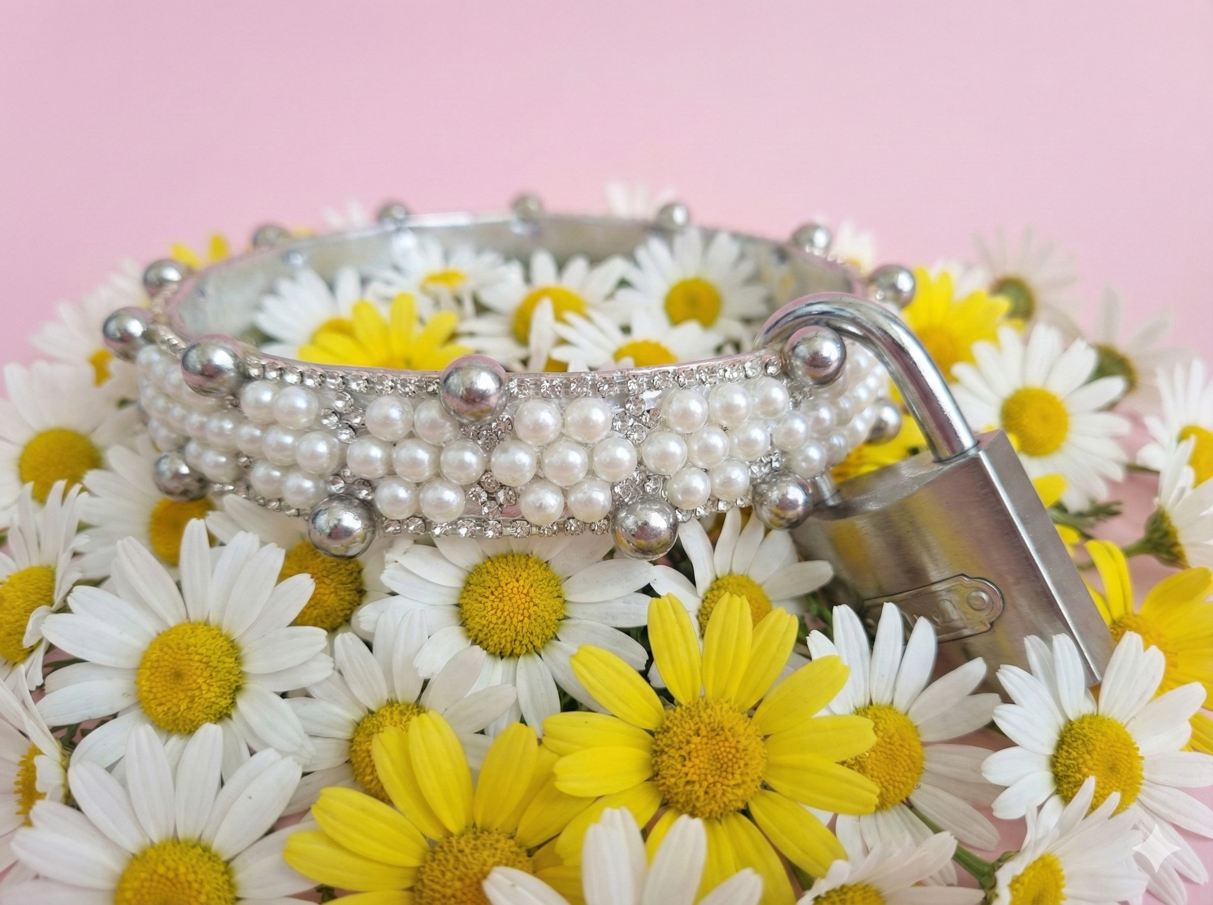 "Gargantilla 'Primavera Chic': Lujo Floral para Mascotas Exóticas"