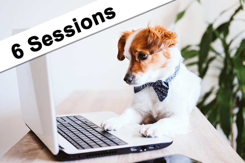 6 Virtual Sessions