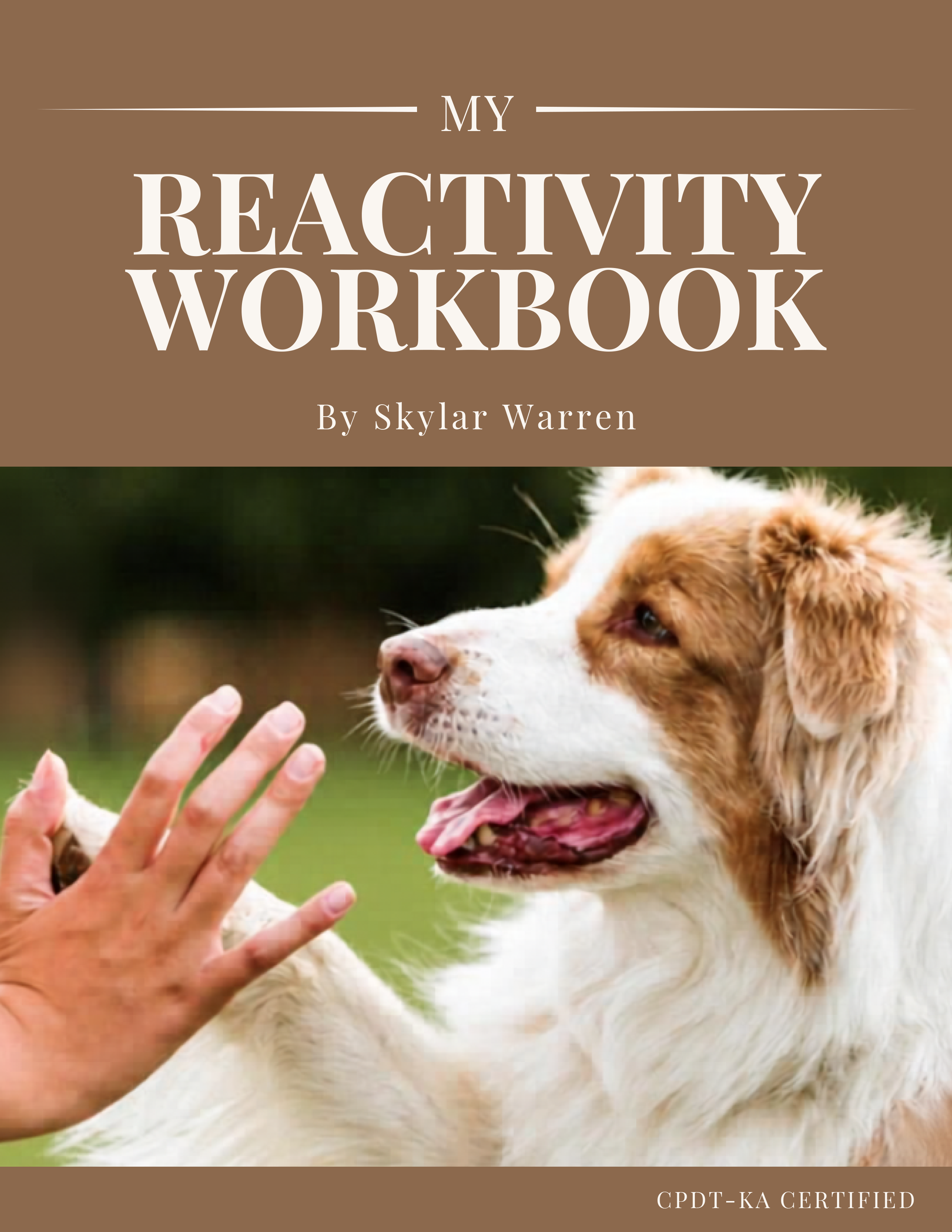 The Reactivity Program