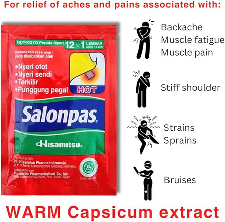 Salonpas Patch Chauffant