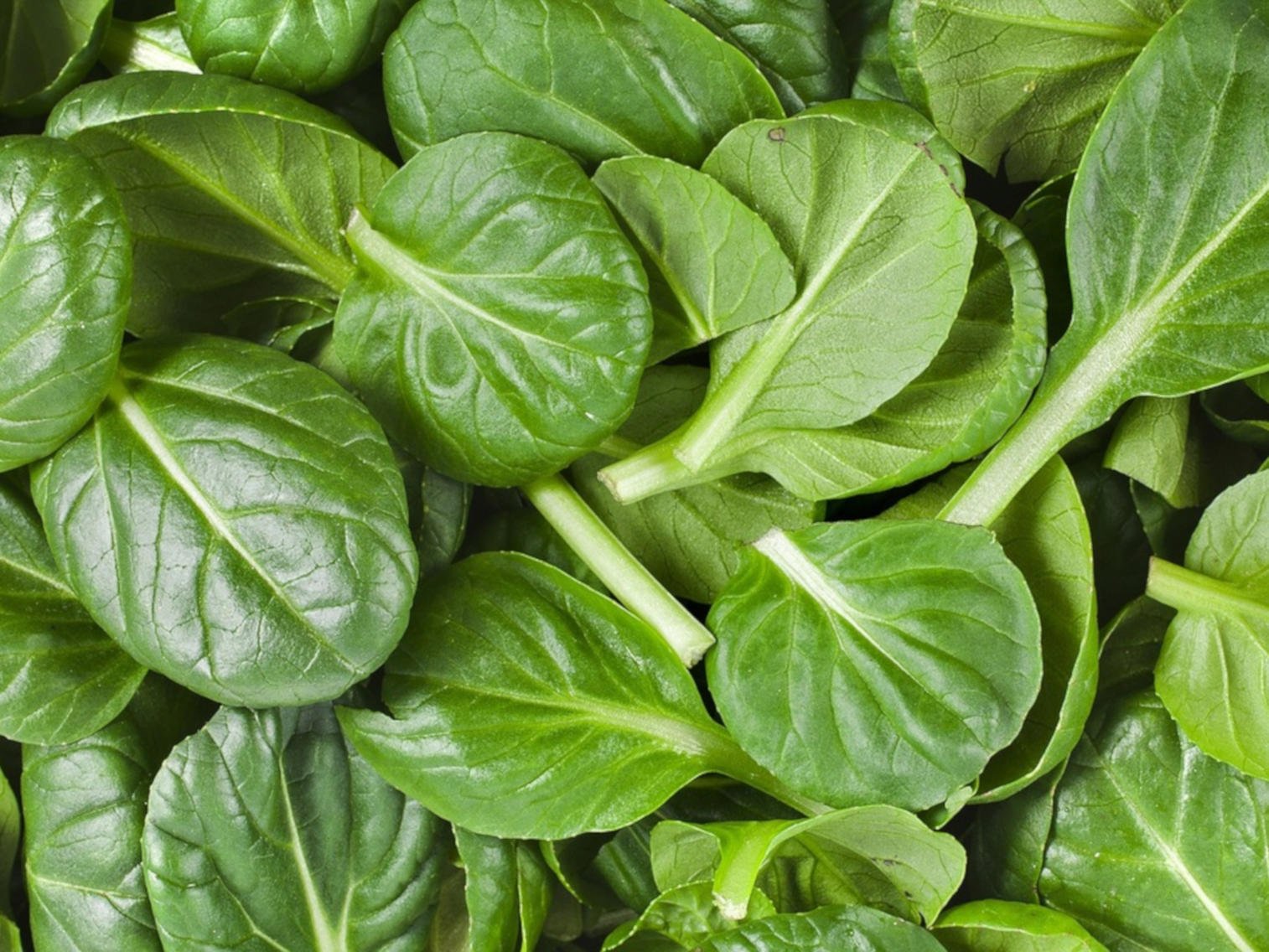Feuilles d'Épinards 1Kg