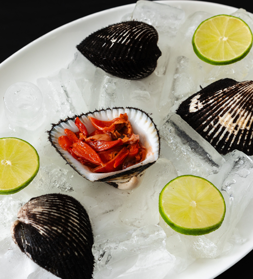 Almeja Pata de Mula (Sangre Roja)