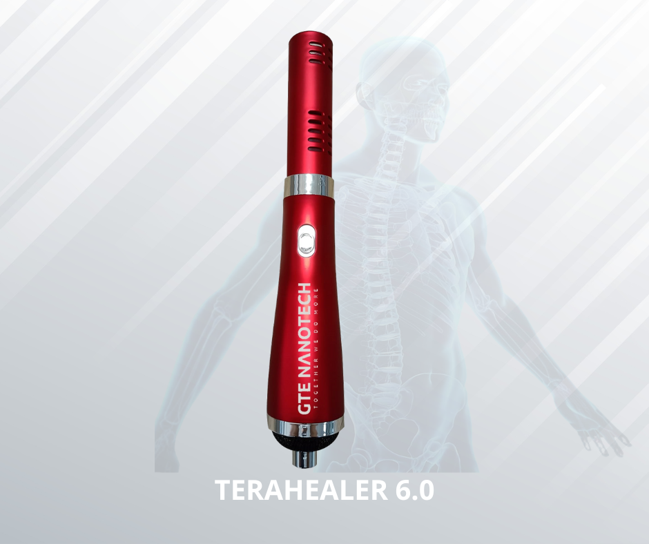 TeraHealer 6.0 