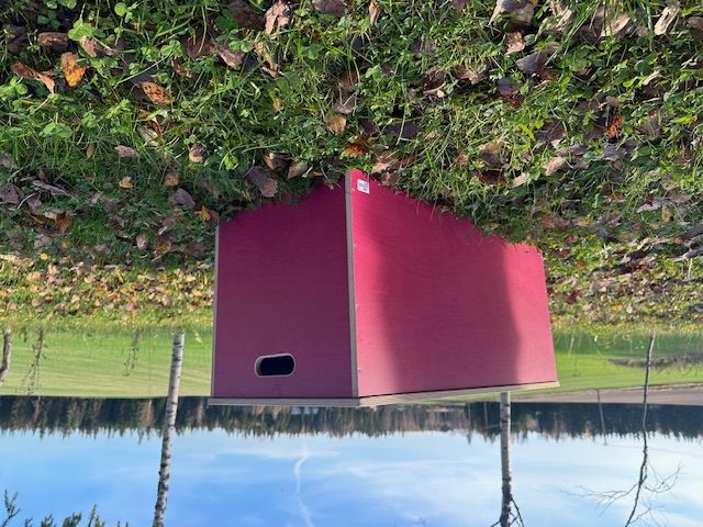 Vihreä säilytyslaatikko, puutarhalaatikko (ulos taikka sisään)