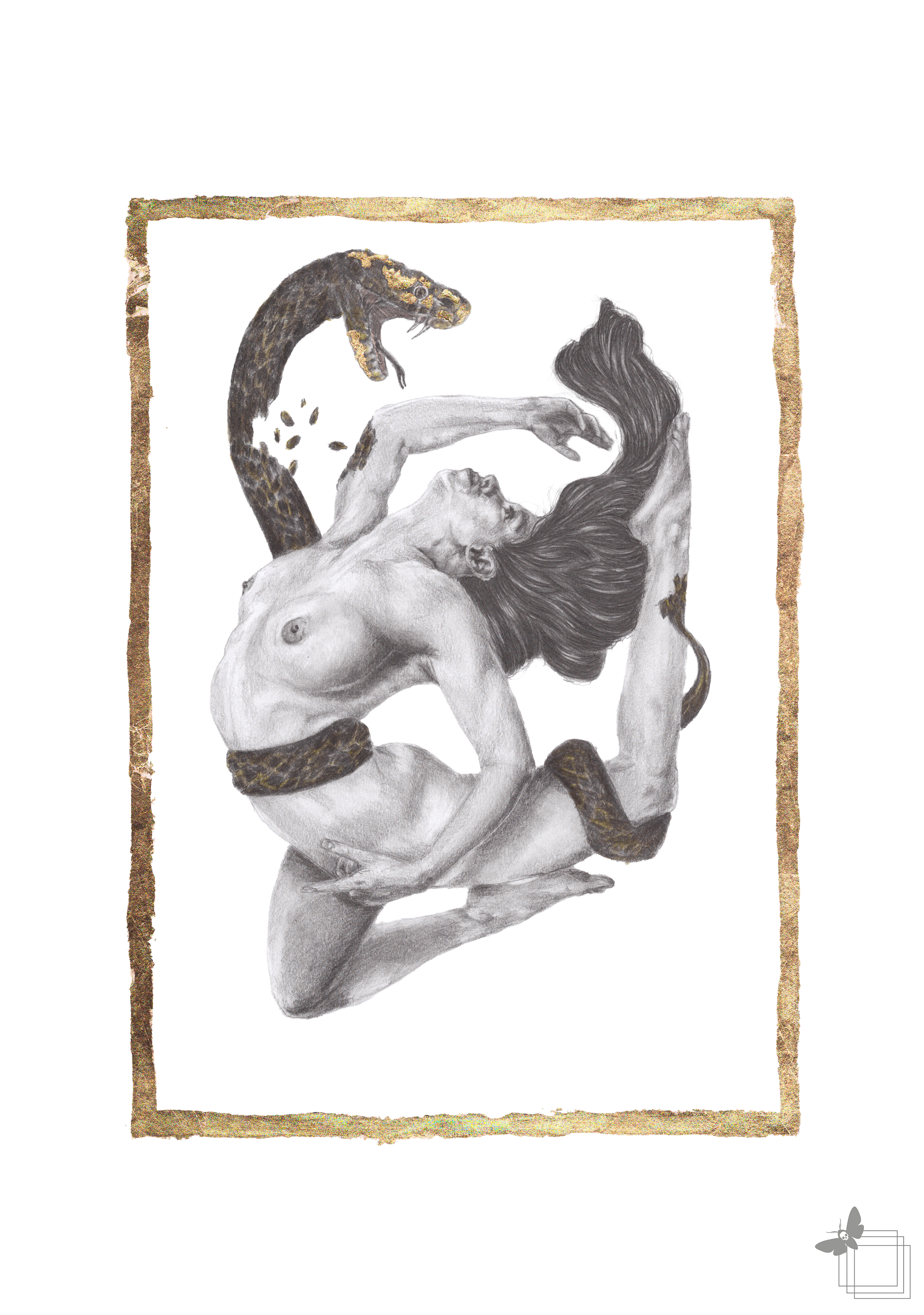 Langue de Vipère - Original