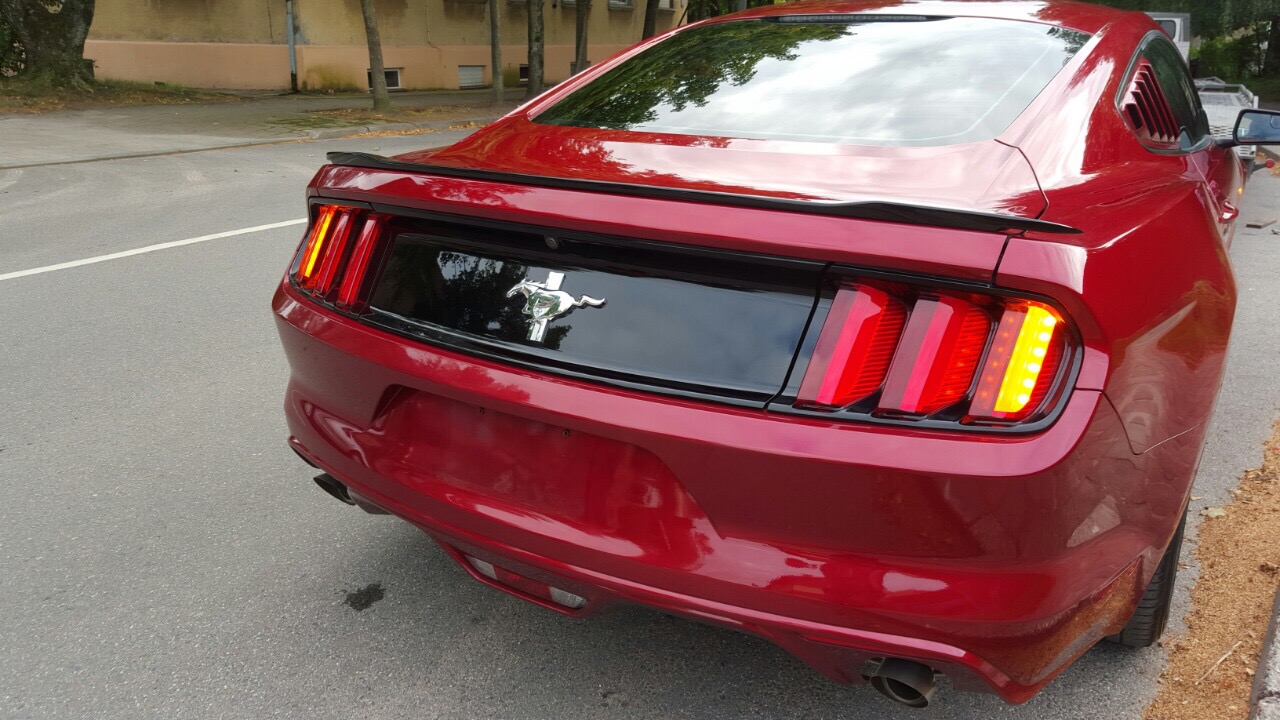 Galinio dangčio spoileris (siauras) FORD MUSTANG (2015-2017)