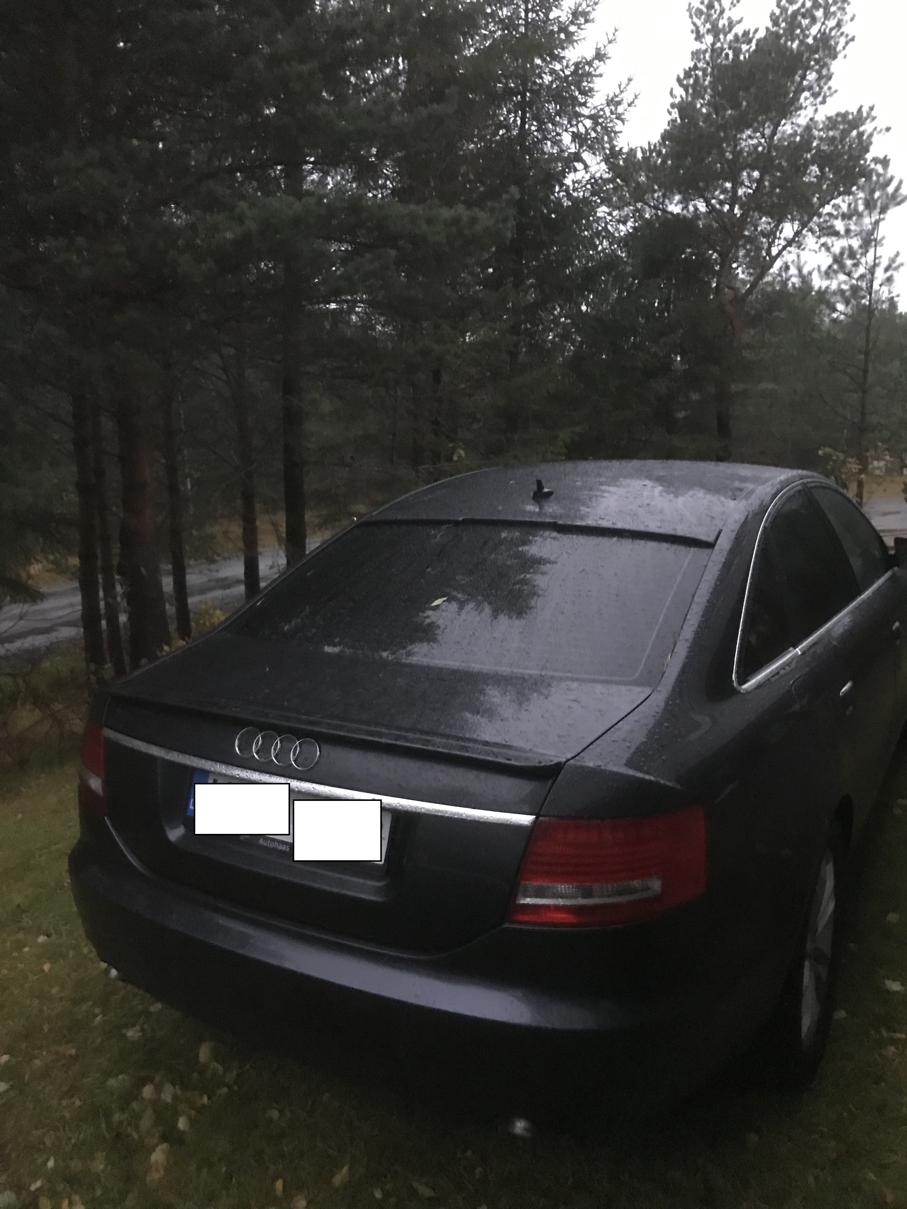 Galinio stiklo stogelis (prigludęs, sedanui) AUDI A6-C6 (2004-2011)