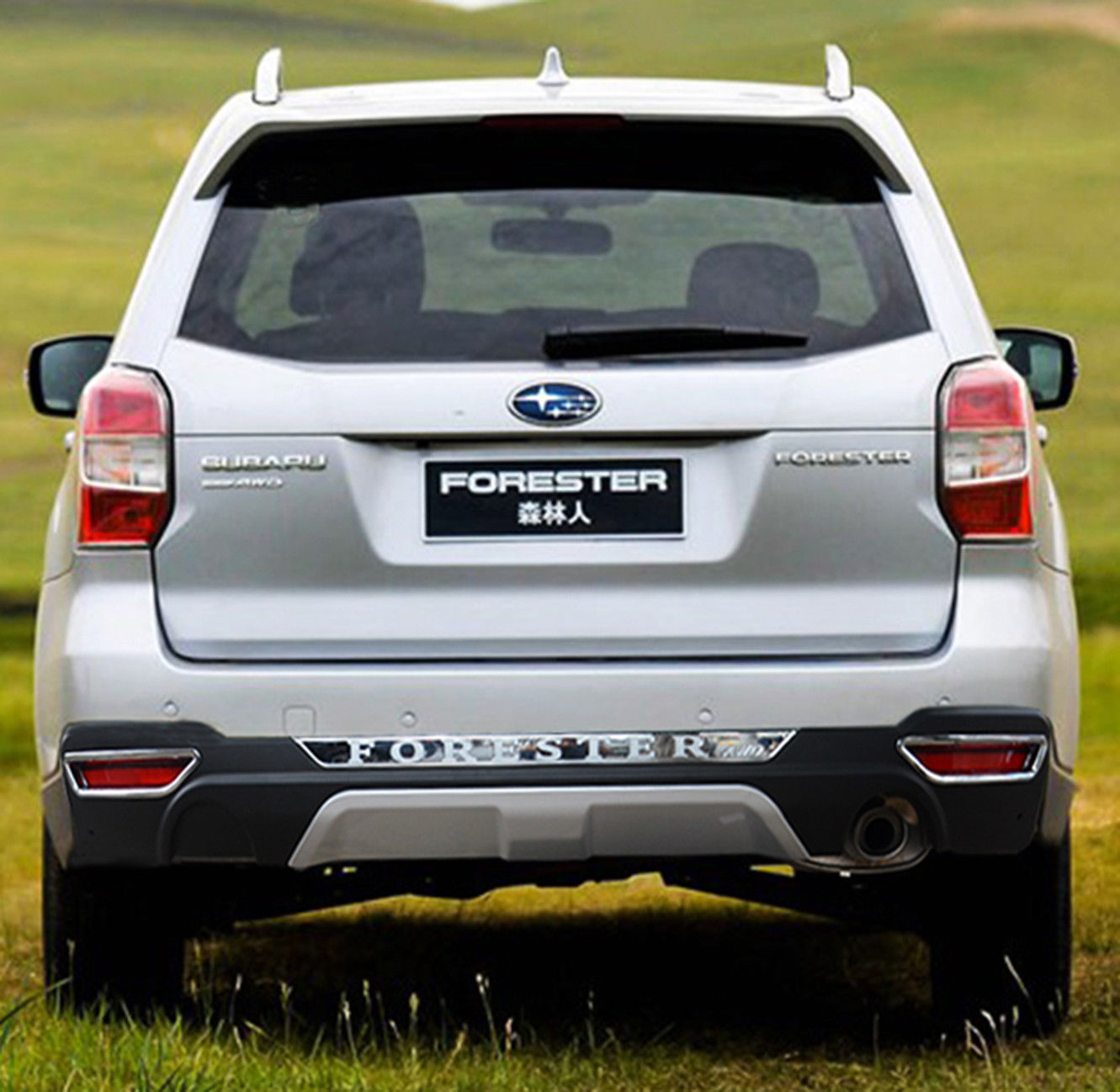 Galinio stiklo spoileris SUBARU FORESTER (2013-2017)