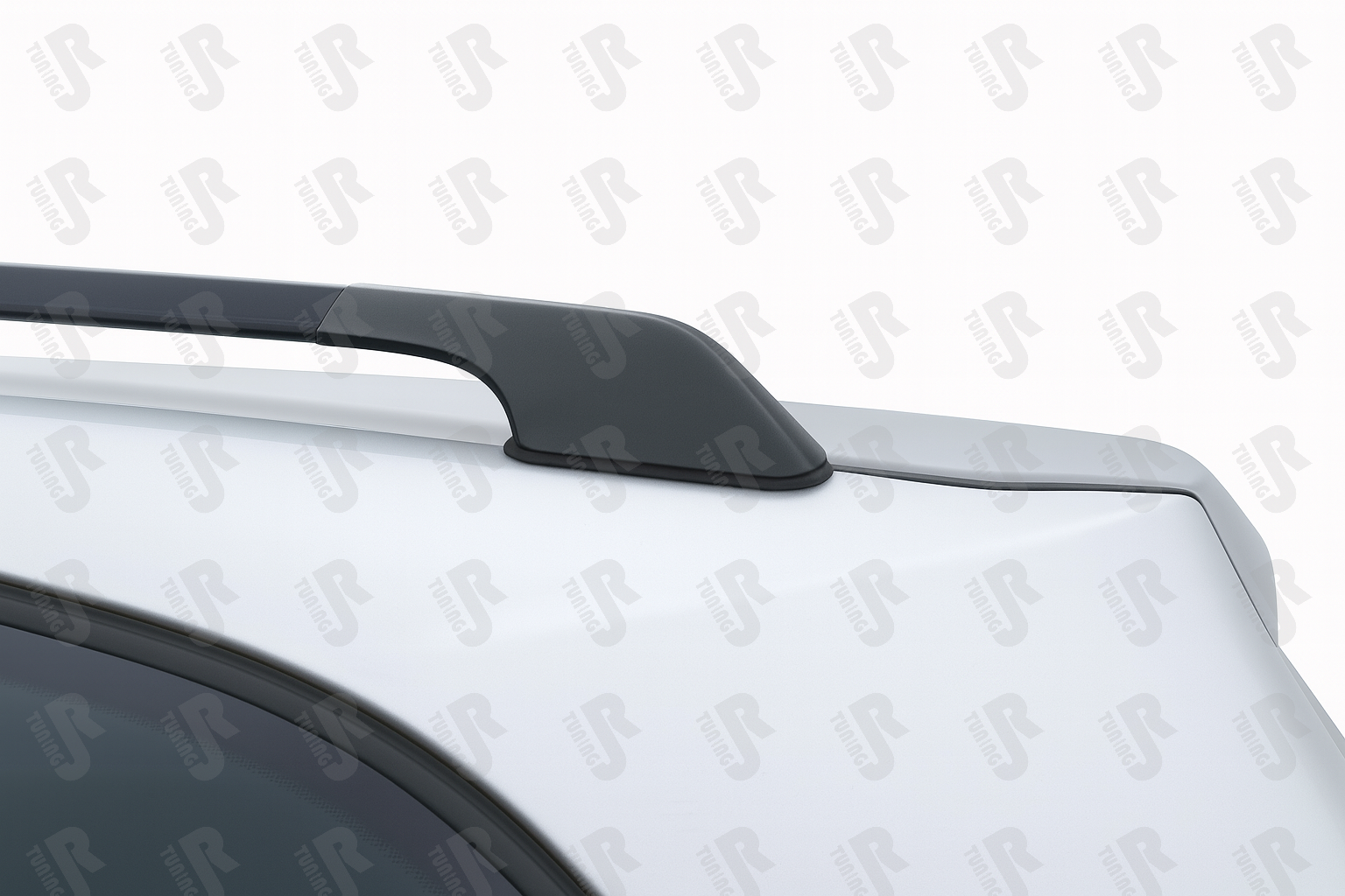 Stogo "ragų" gaubtas (galinis) TOYOTA RAV4 (2008-2009)