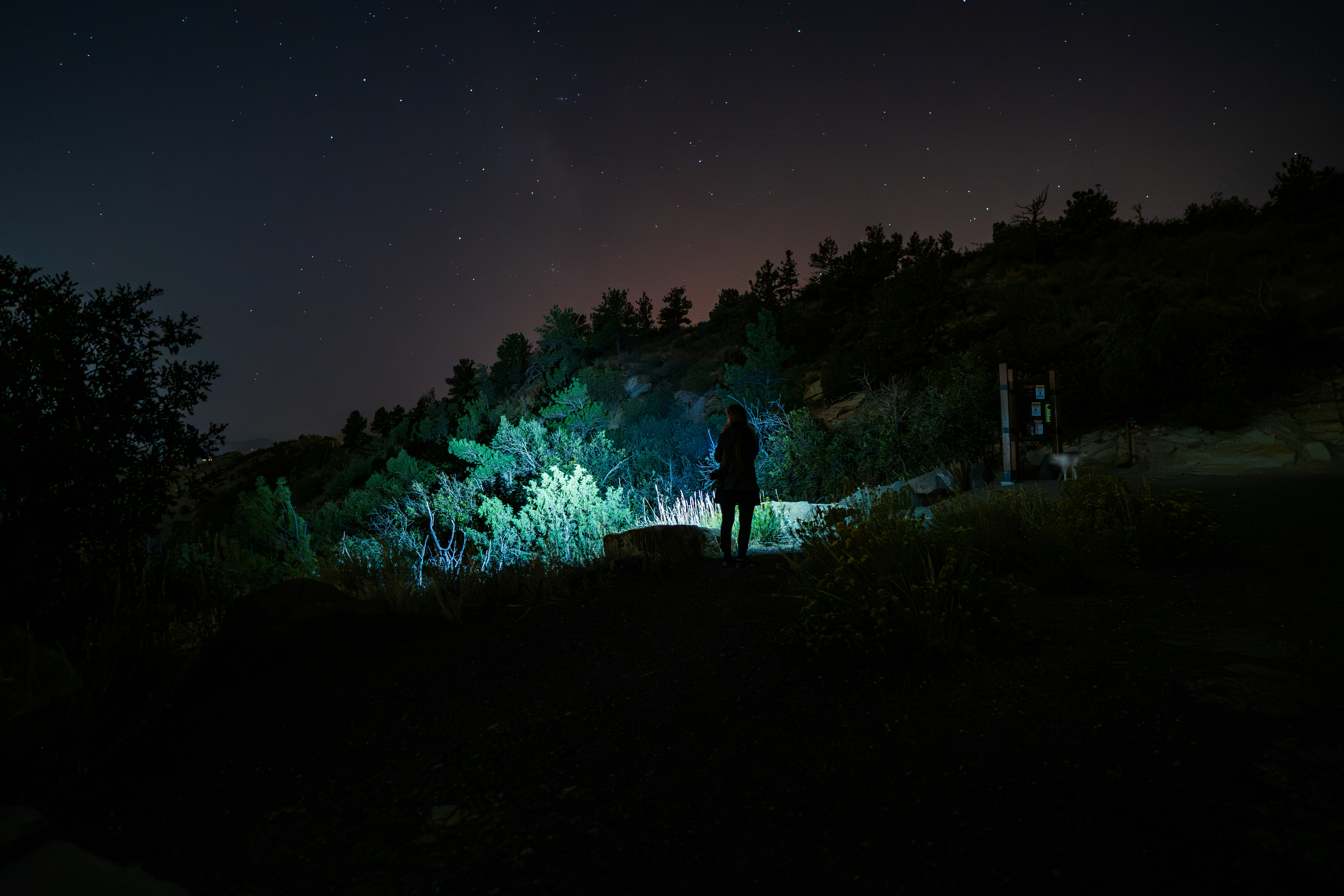 ESTRELLAS DEL RISCO LEVANTE (27 Junio)