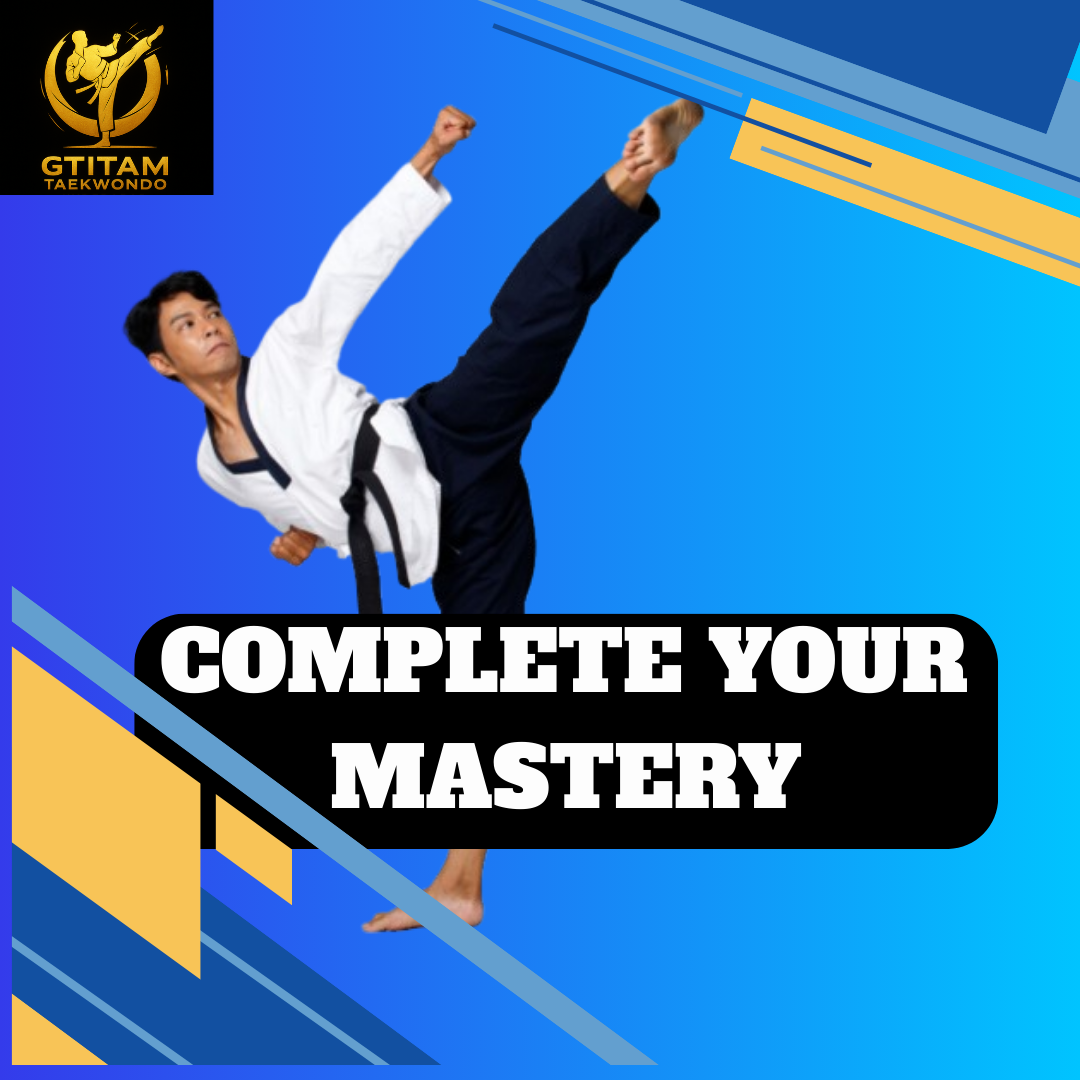 Taekwondo mastery Program
