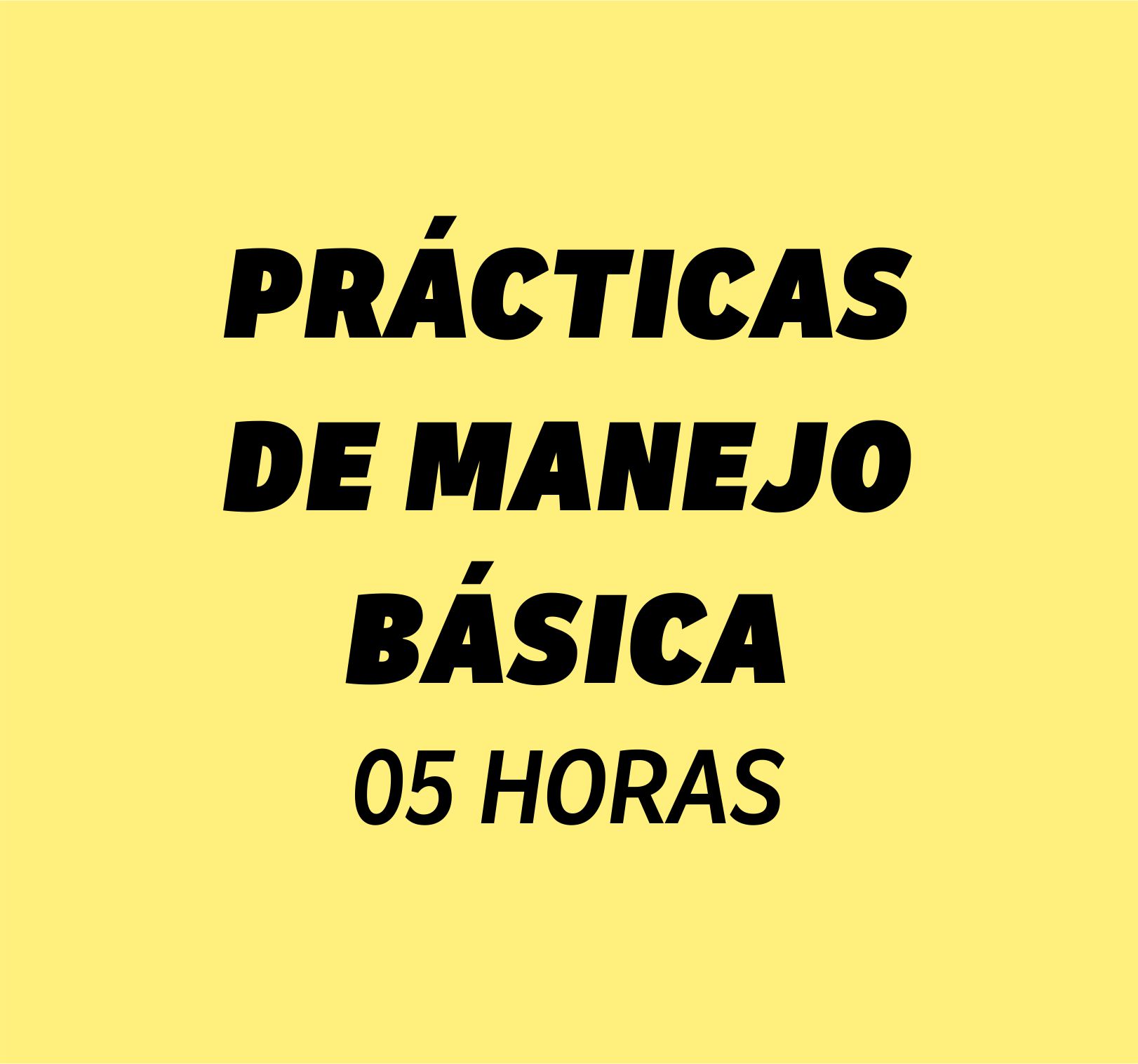 Práctica de Conducción Básica
