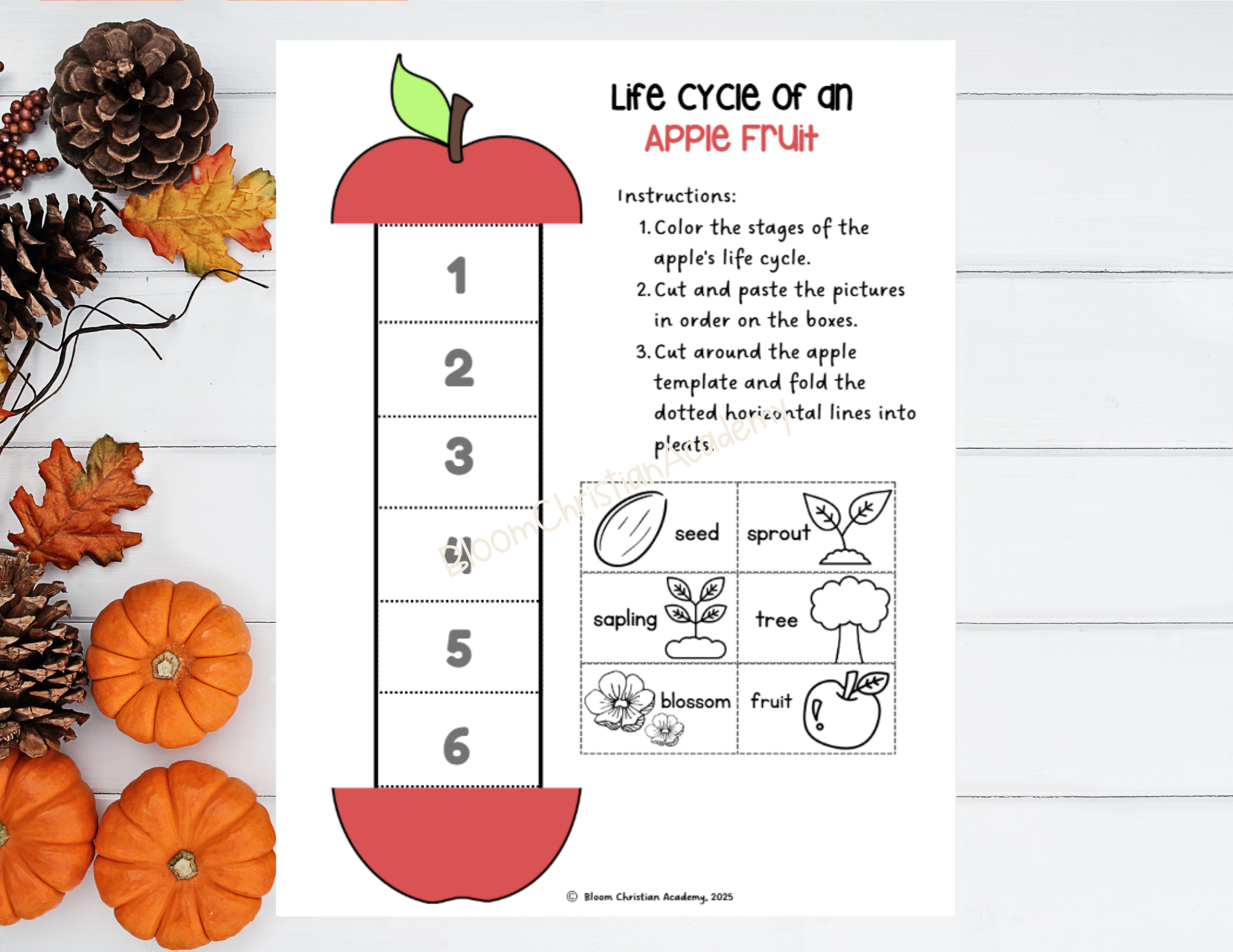 Autumn Centers Bundle