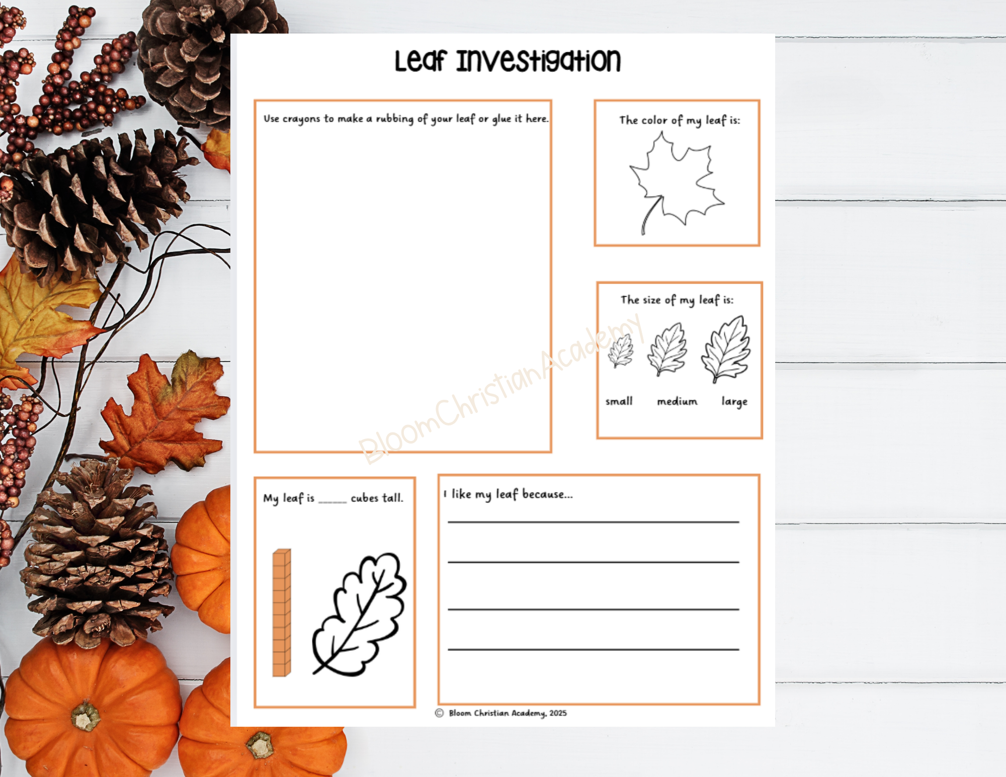 Autumn Centers Bundle