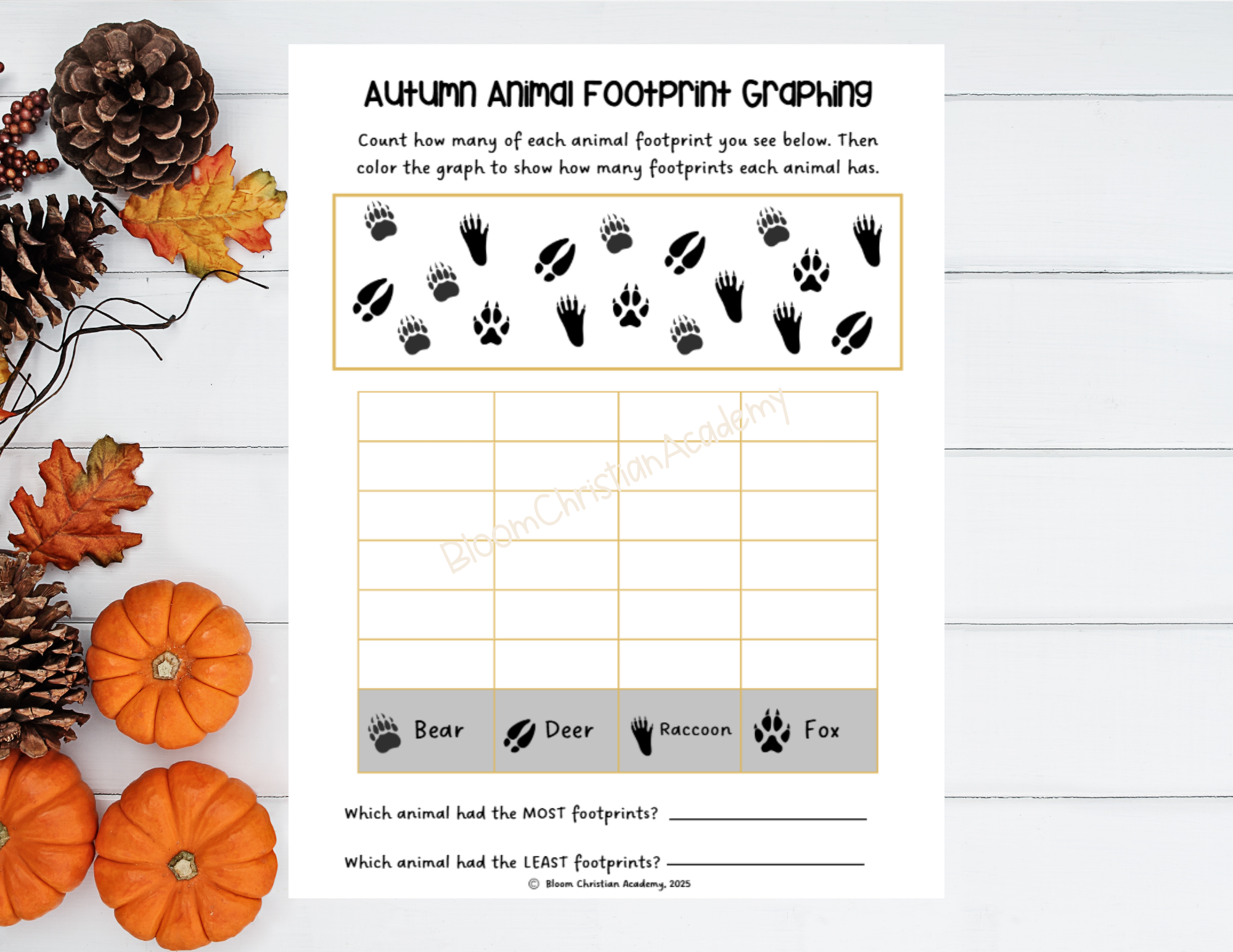 Autumn Centers Bundle