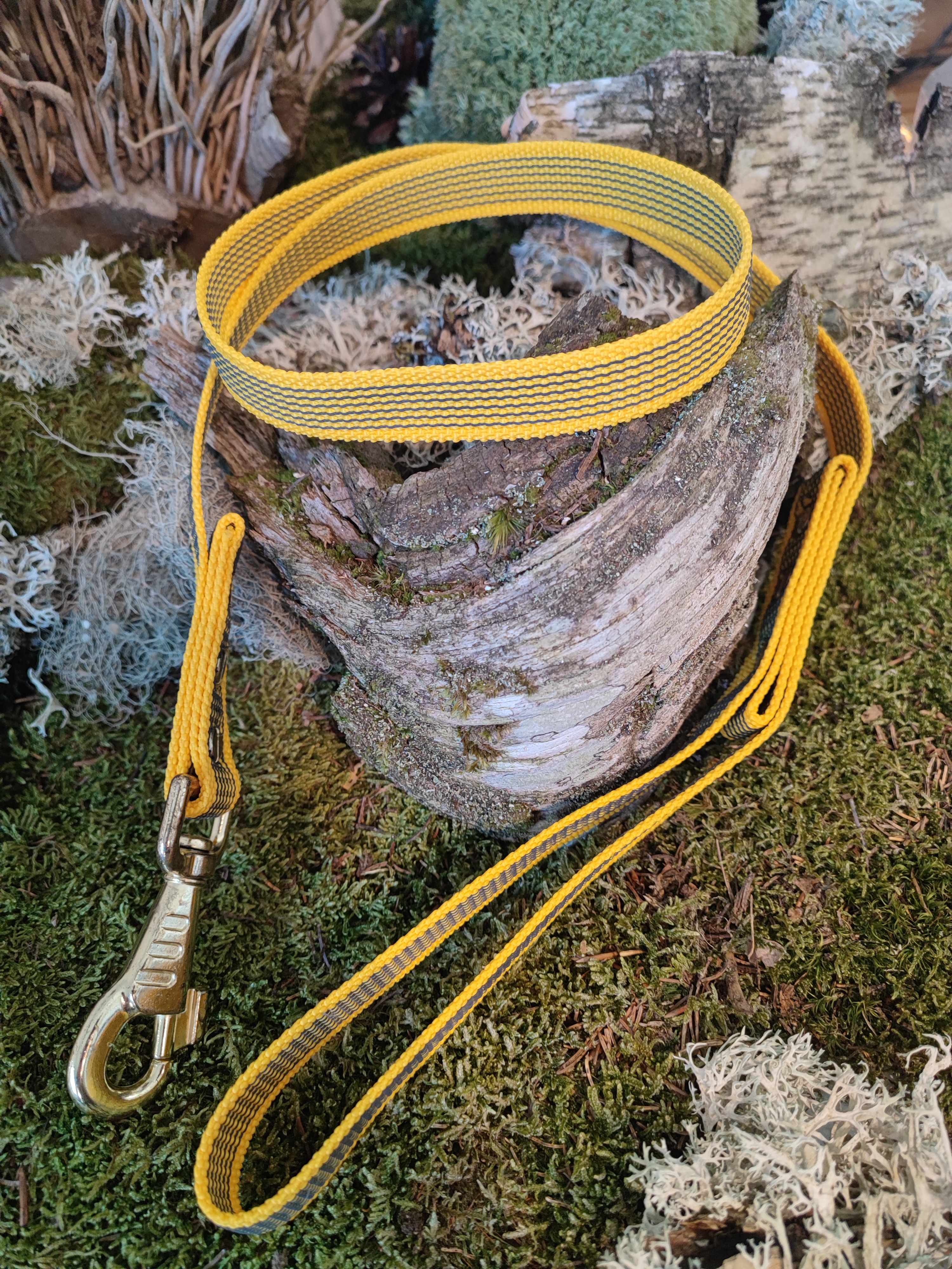 Standardleine gummiert