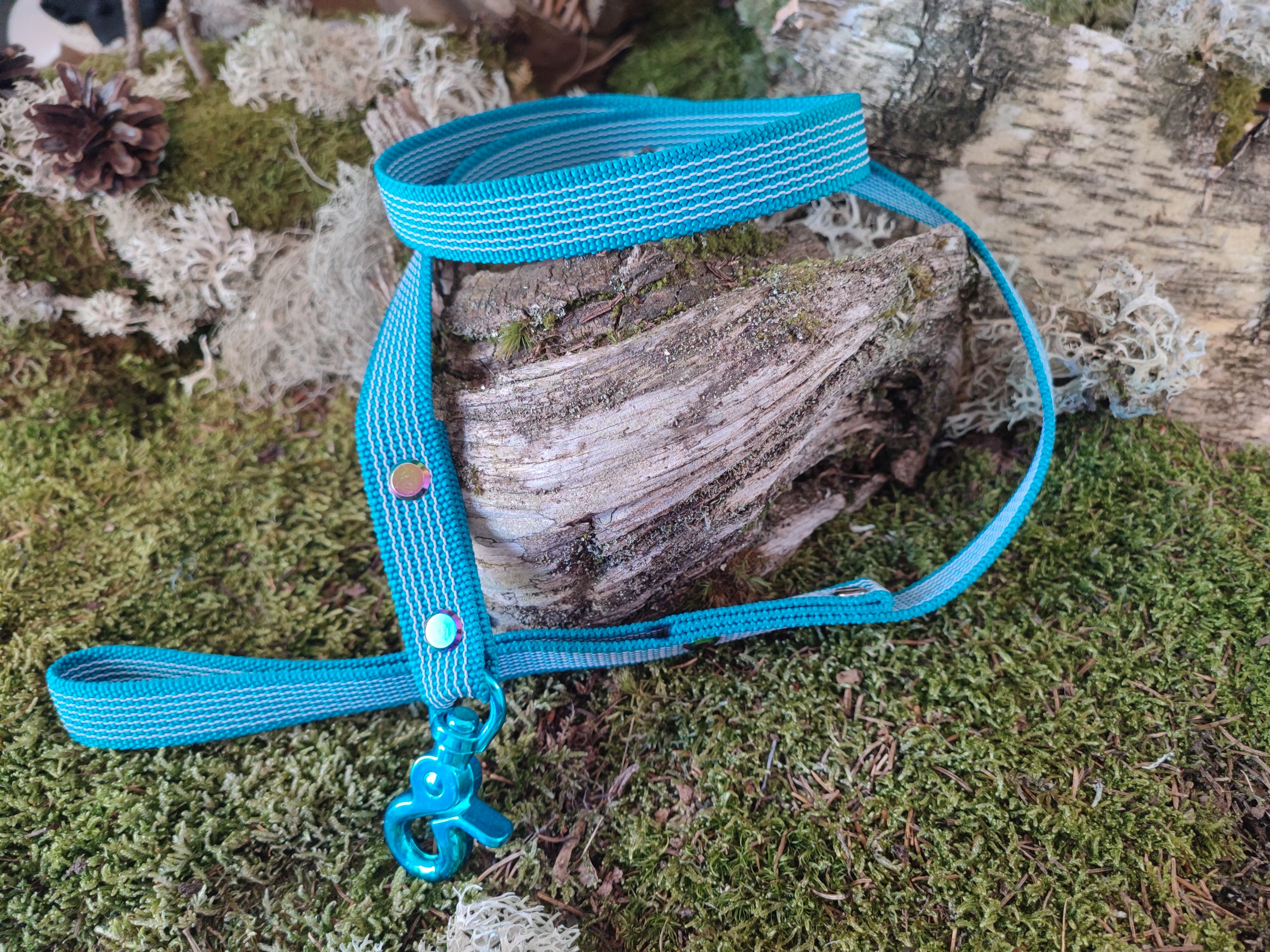 Kurzführ- und Trainingsleine gummiert