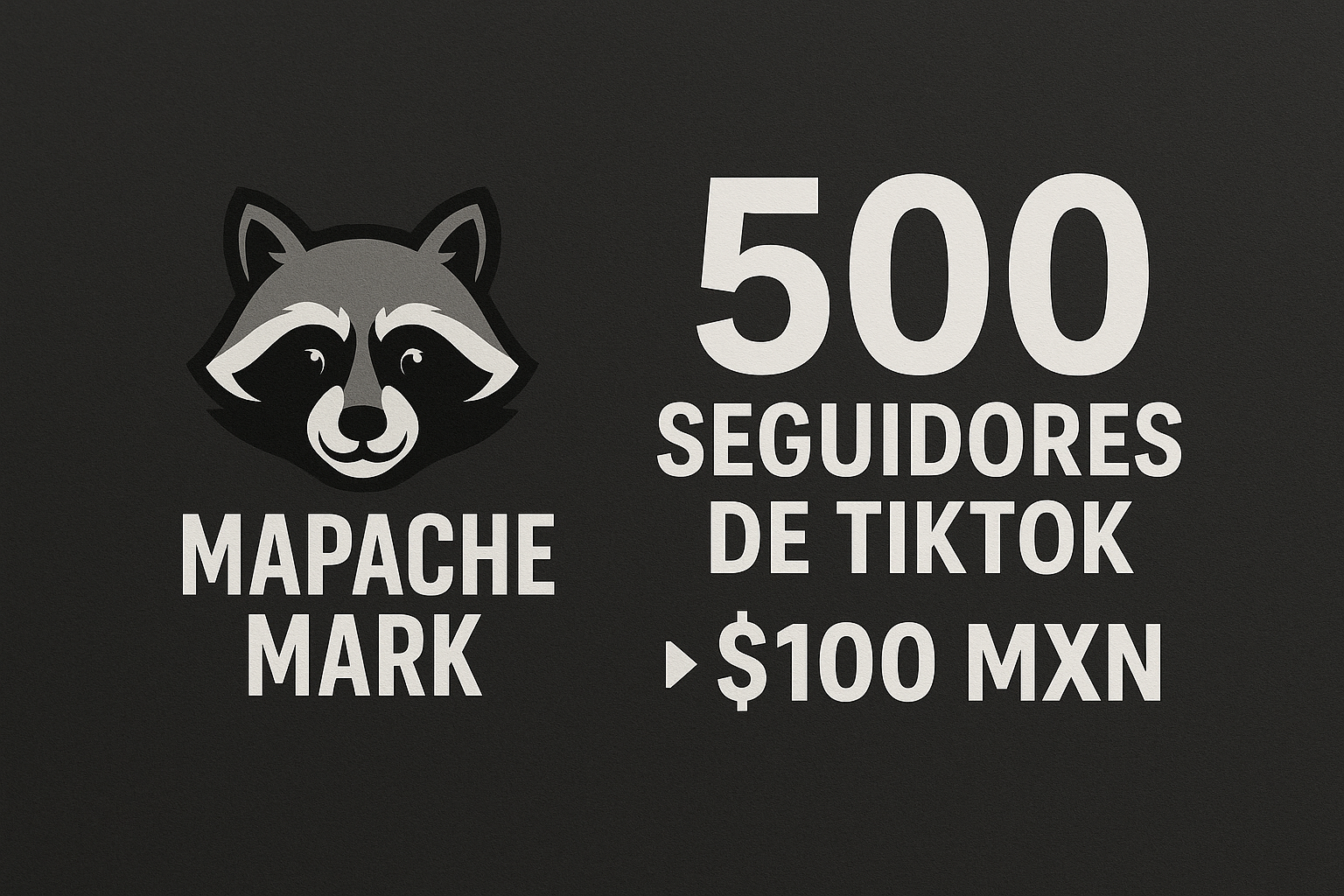500 Seguidores TikTok 