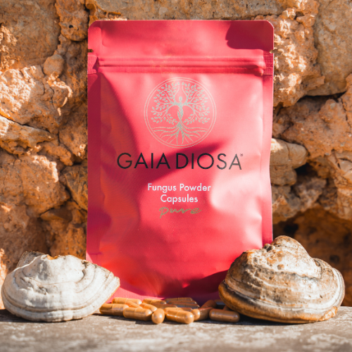 Gaia Diosa® Zunderschwamm Kapseln - Pure 4–6 Stück (20 %).