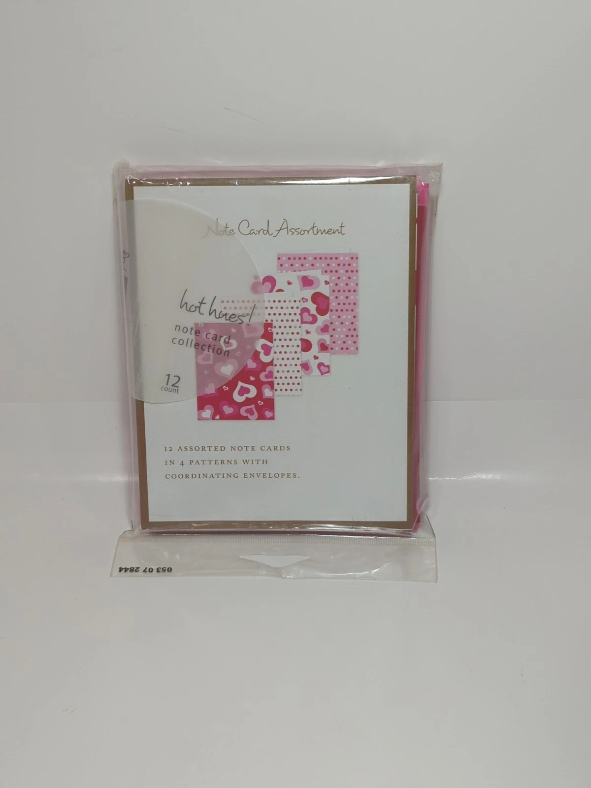 Hot Hues Single Panel Note Card Set 12 Count Greeting Cards