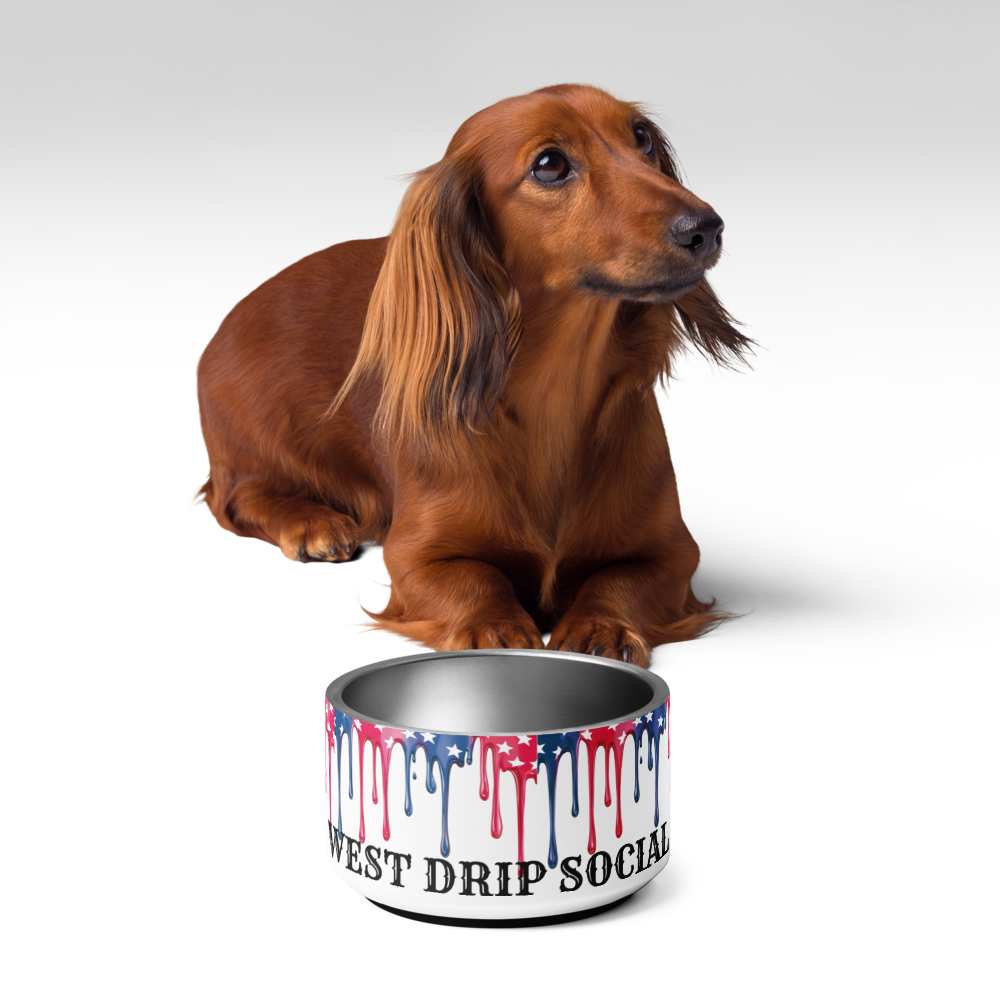 Dog Food Bowl