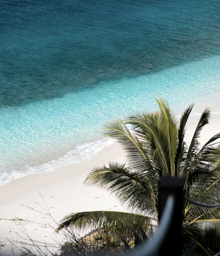 BVI Business Company (BC)