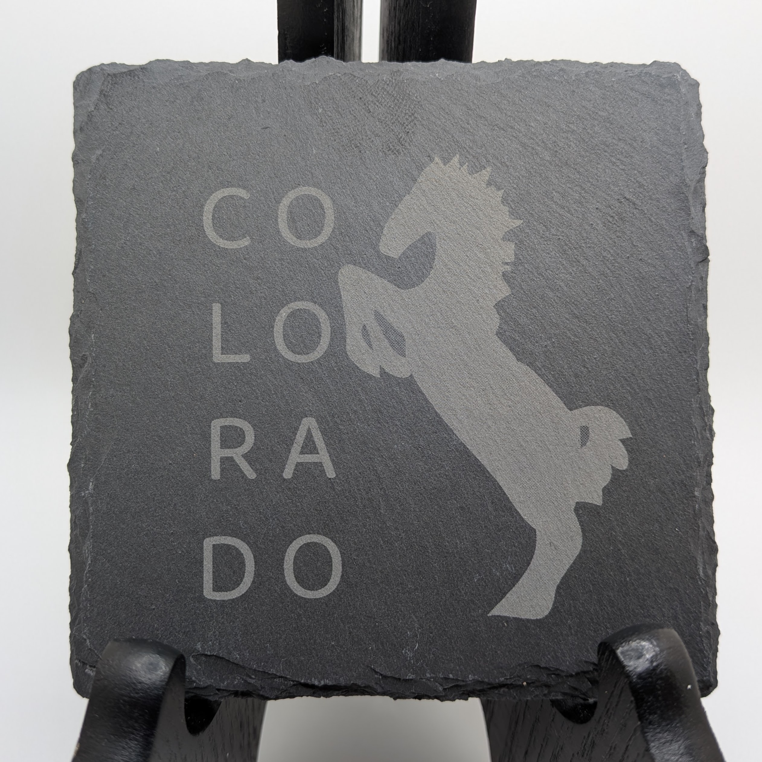 Colorado Themed Coasters