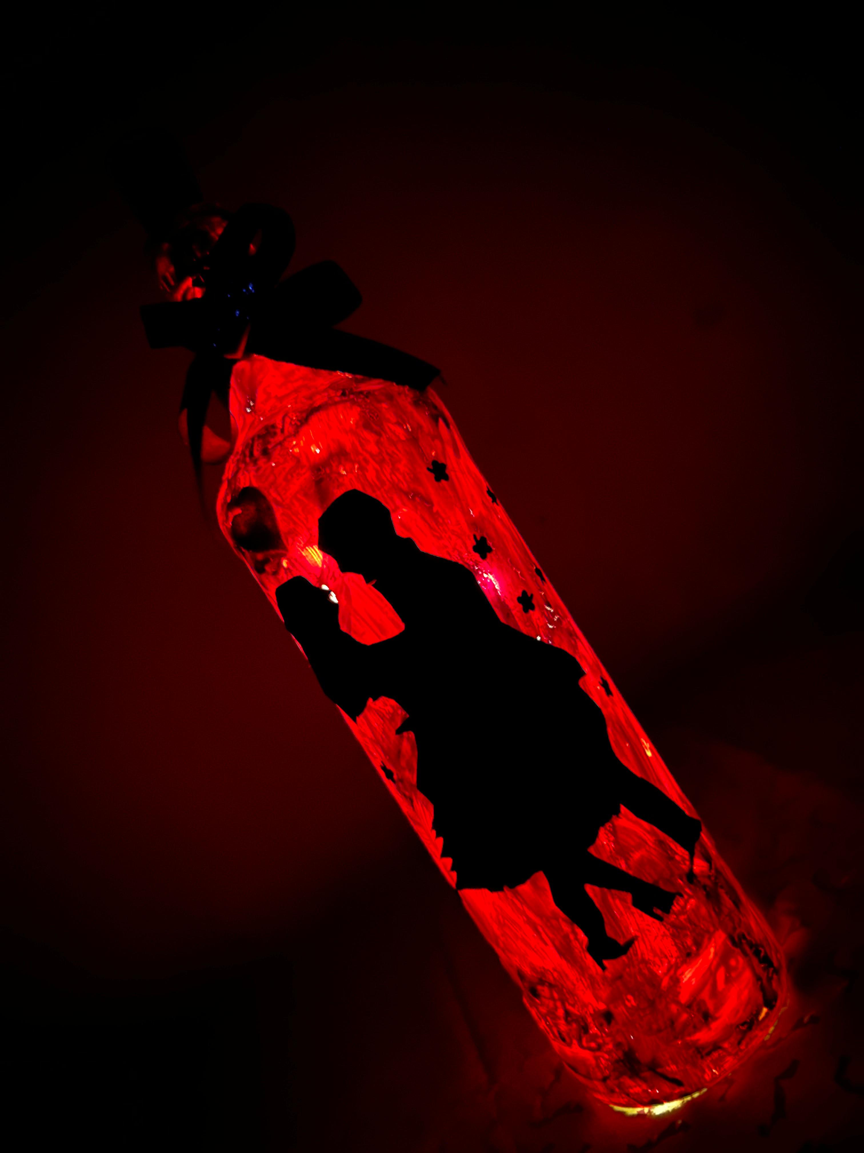 Romantic LED Bottle Lamp