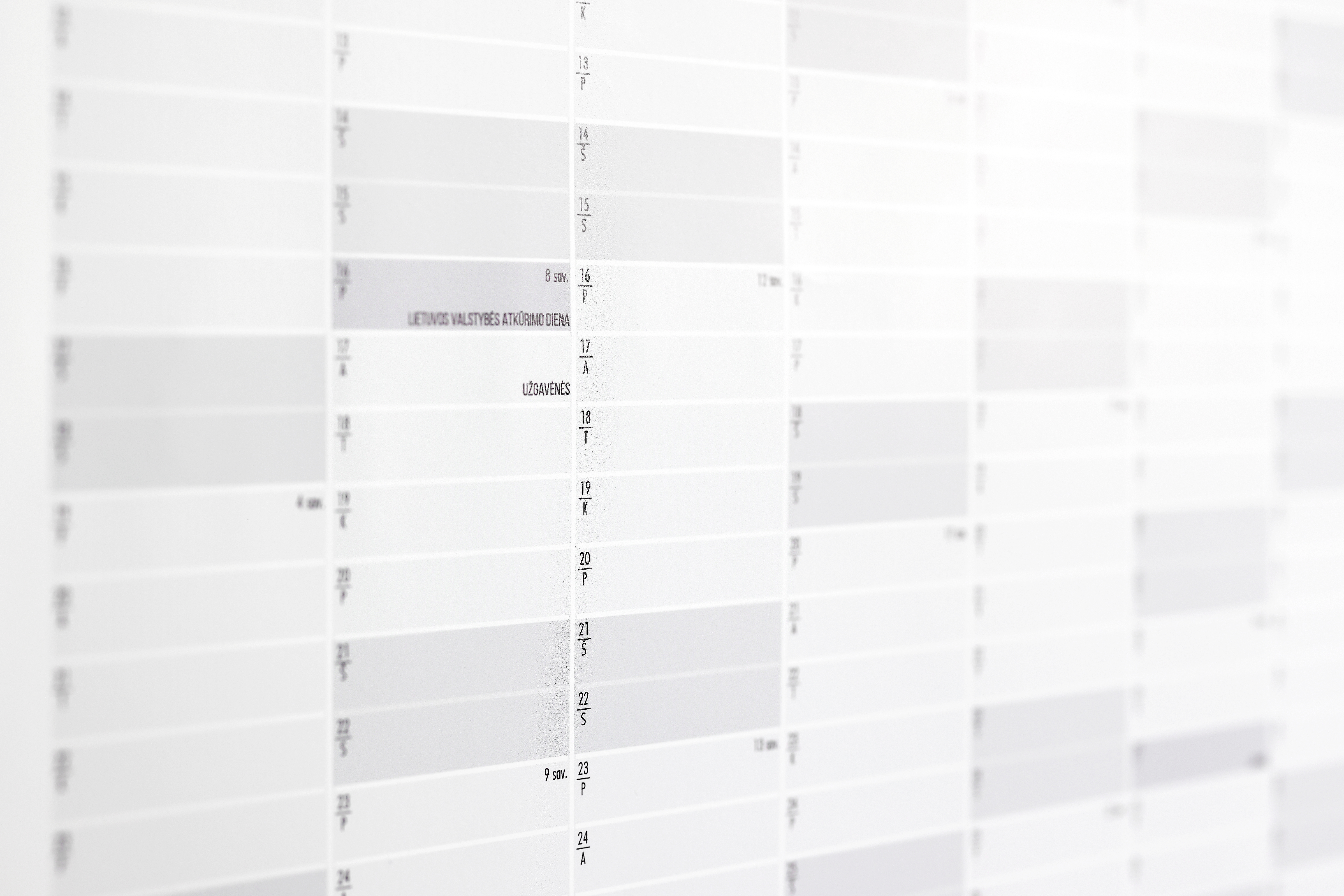 A1 sieninis 2026 metų kalendorius (spausdinimui)