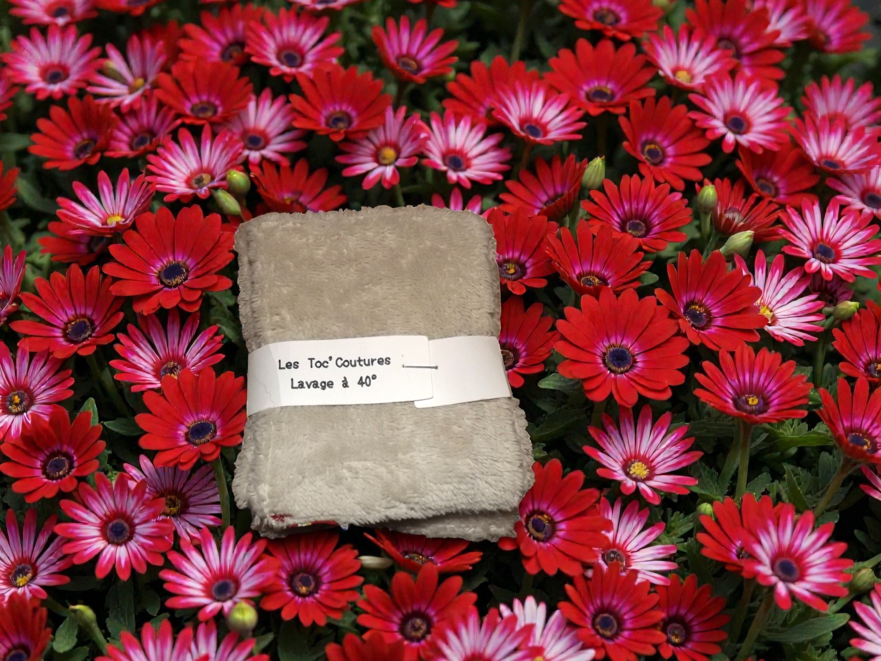 panière plus 7 lingettes assorties 