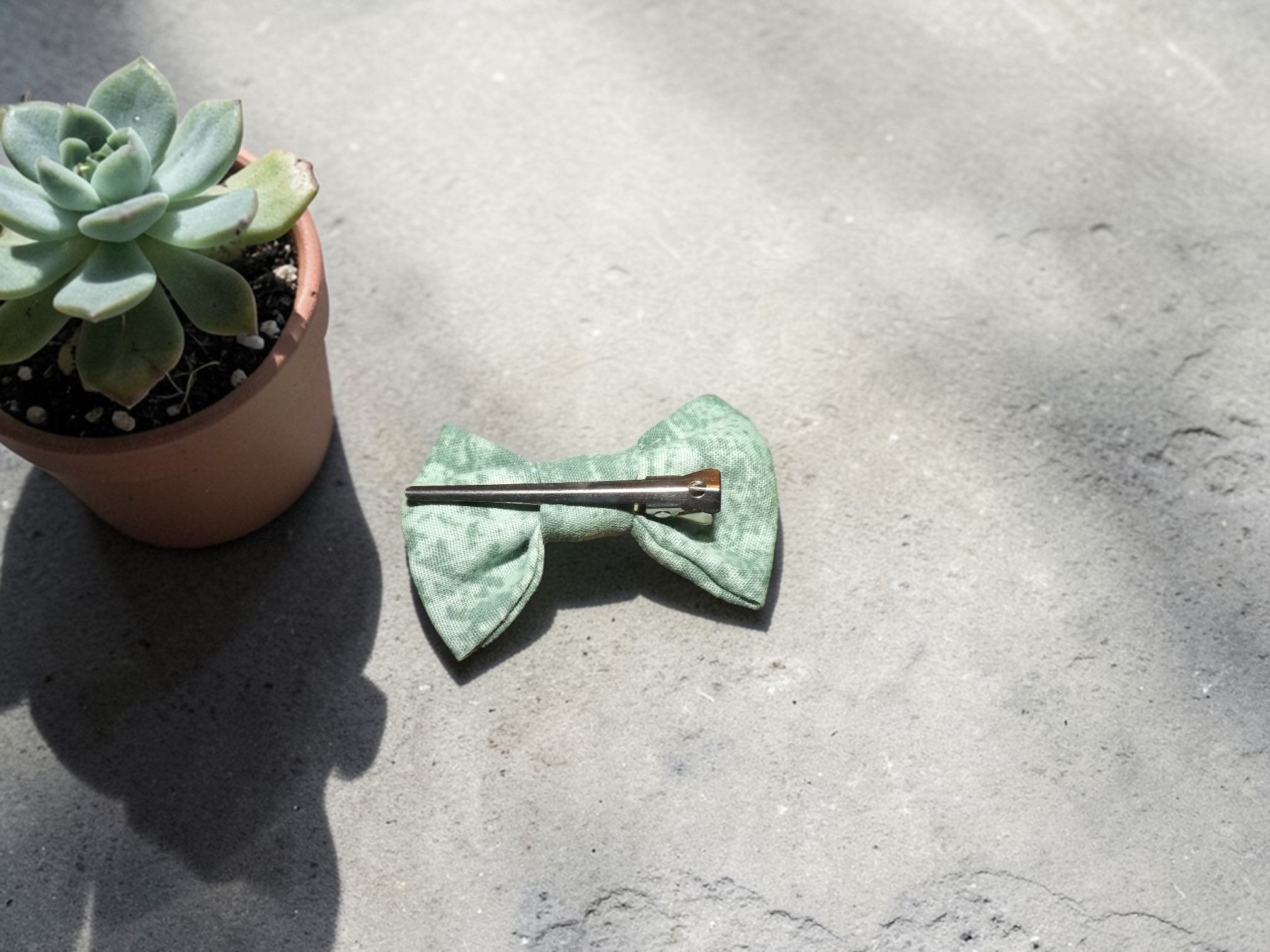 Barrette crocodile
