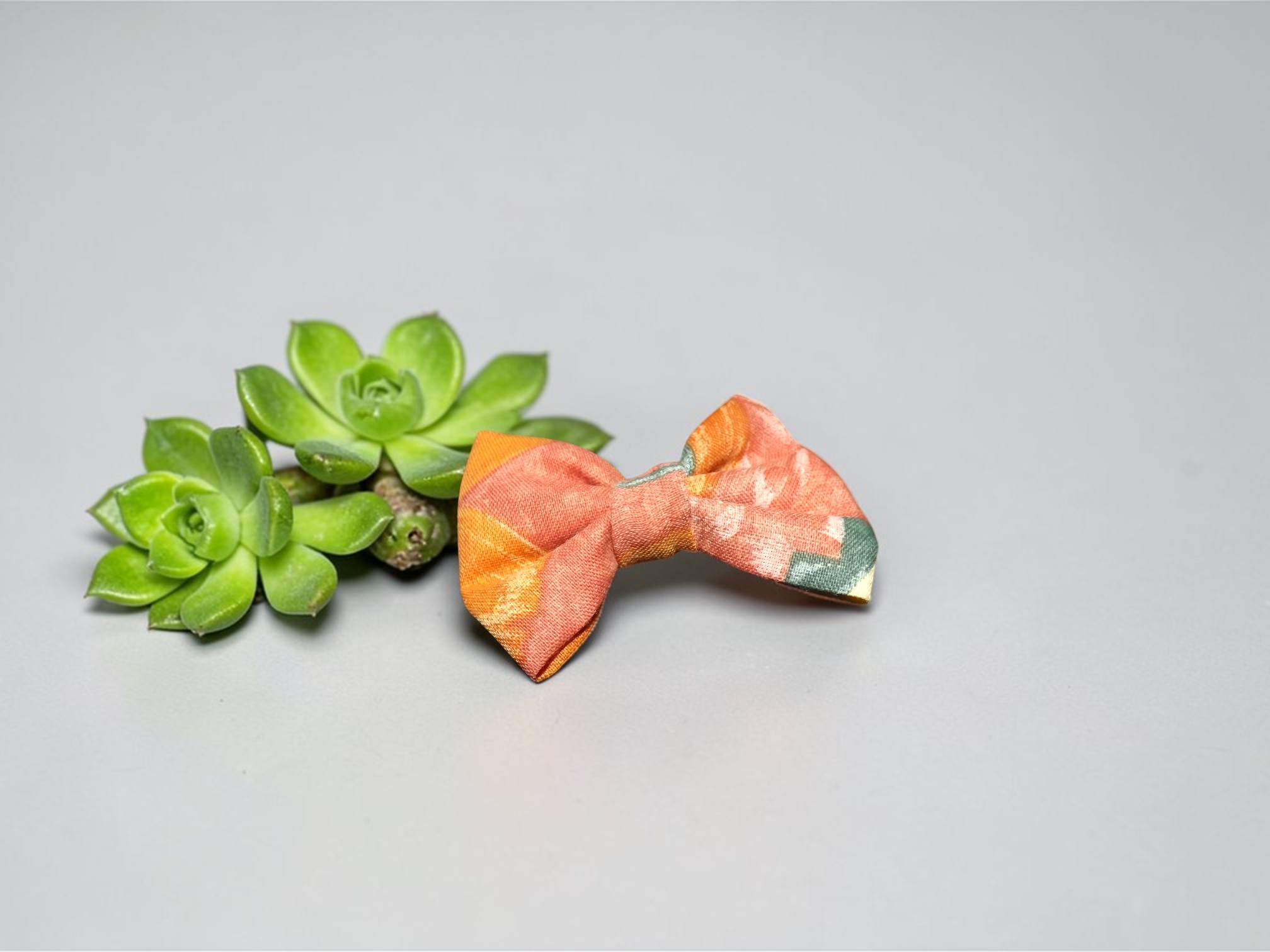 Barrette crocodile