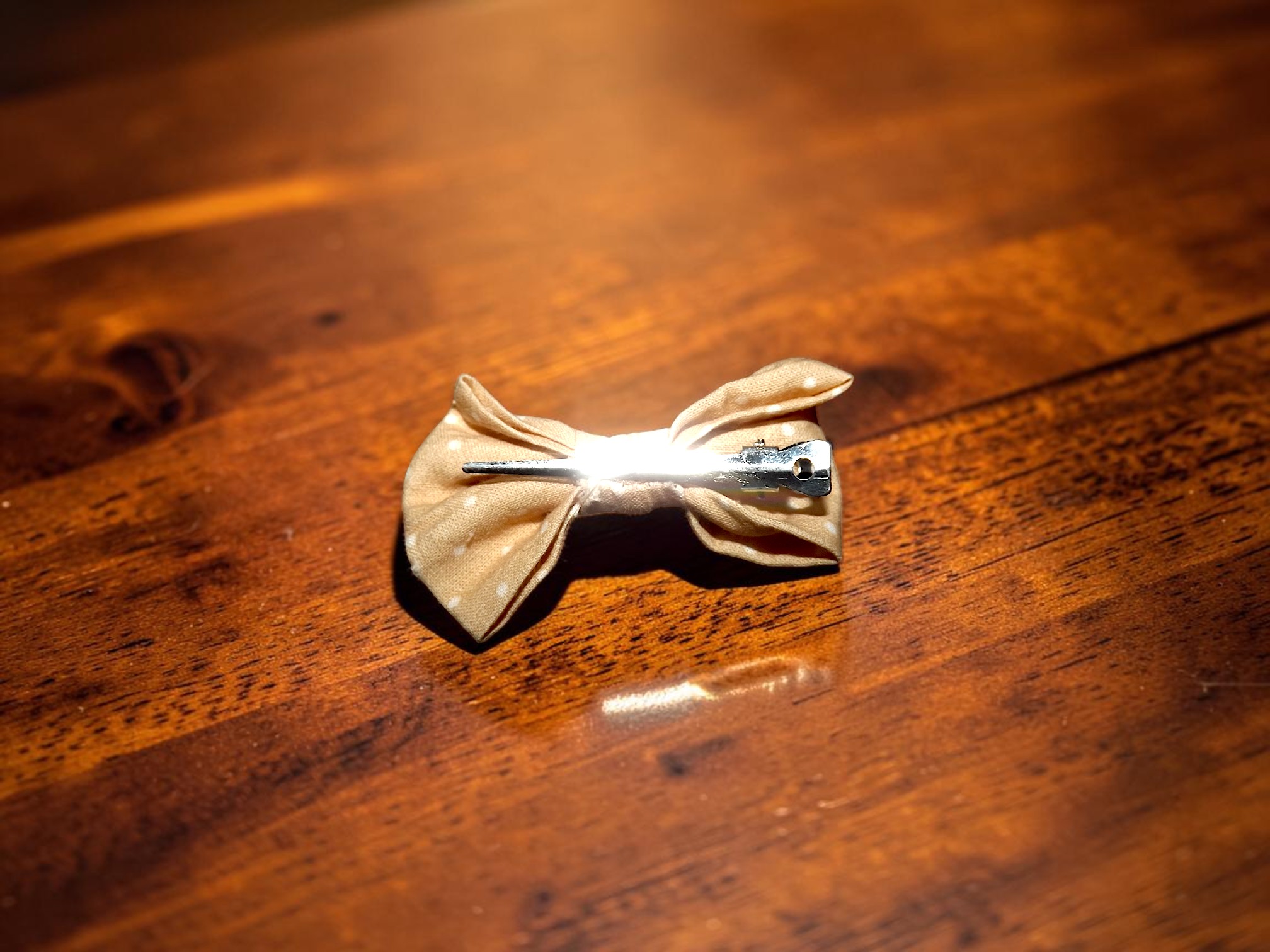 Barrette crocodile