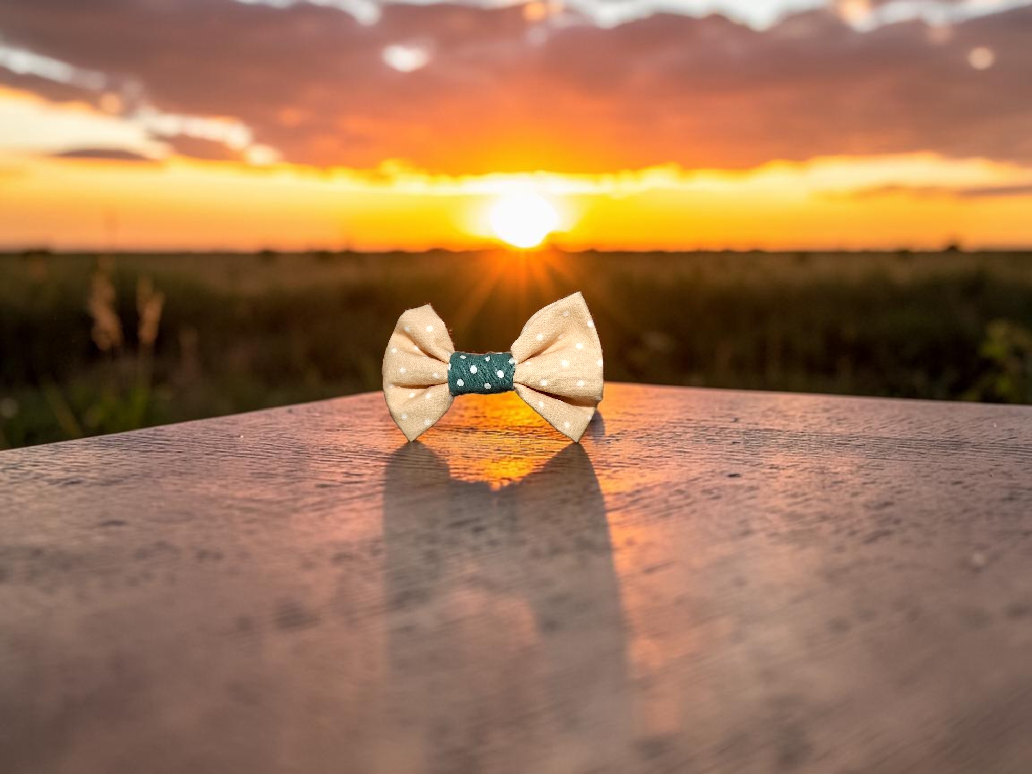 Barrette crocodile